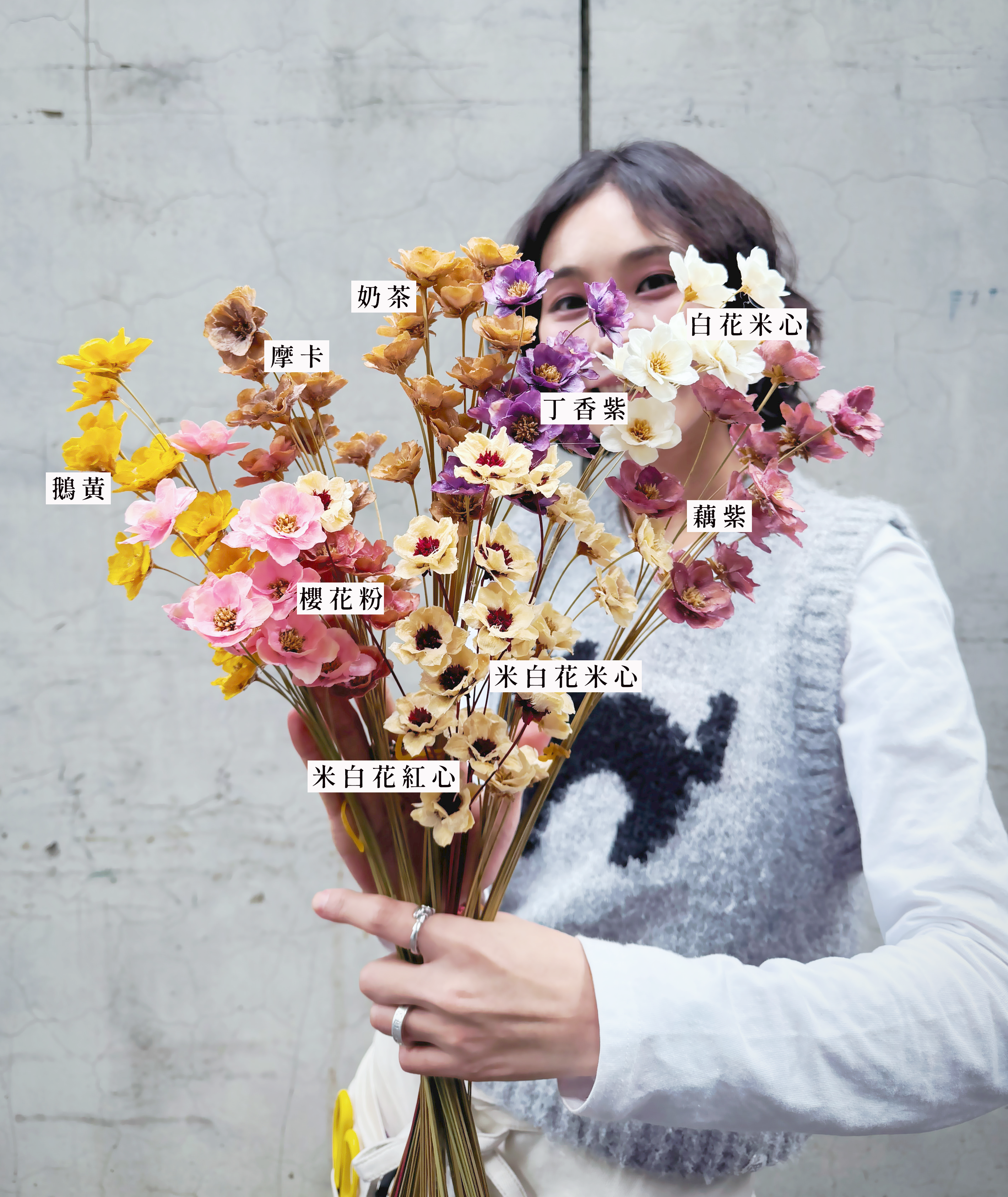 手工波斯菊（多色）