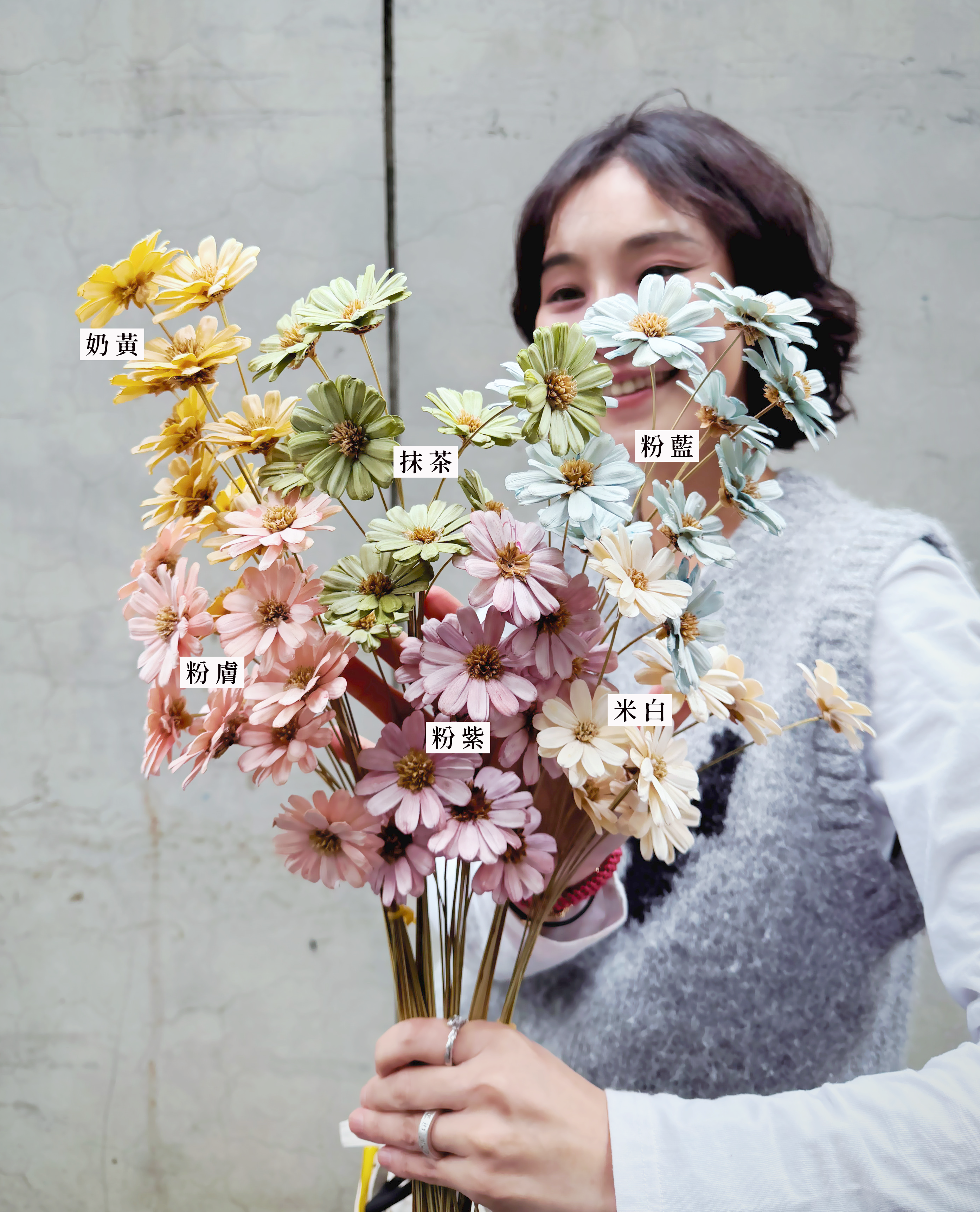 乾燥手工瑪格麗特（多色）