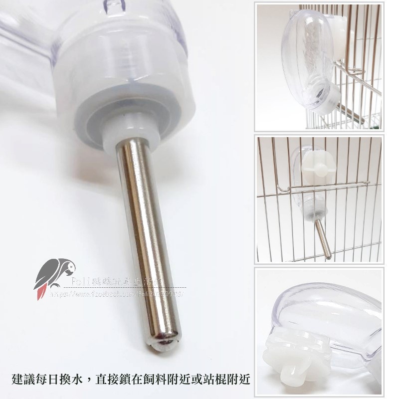 80ml 滾珠水壺 艾思沛 鸚鵡水壺 餵水器 波力鸚鵡玩具生活館