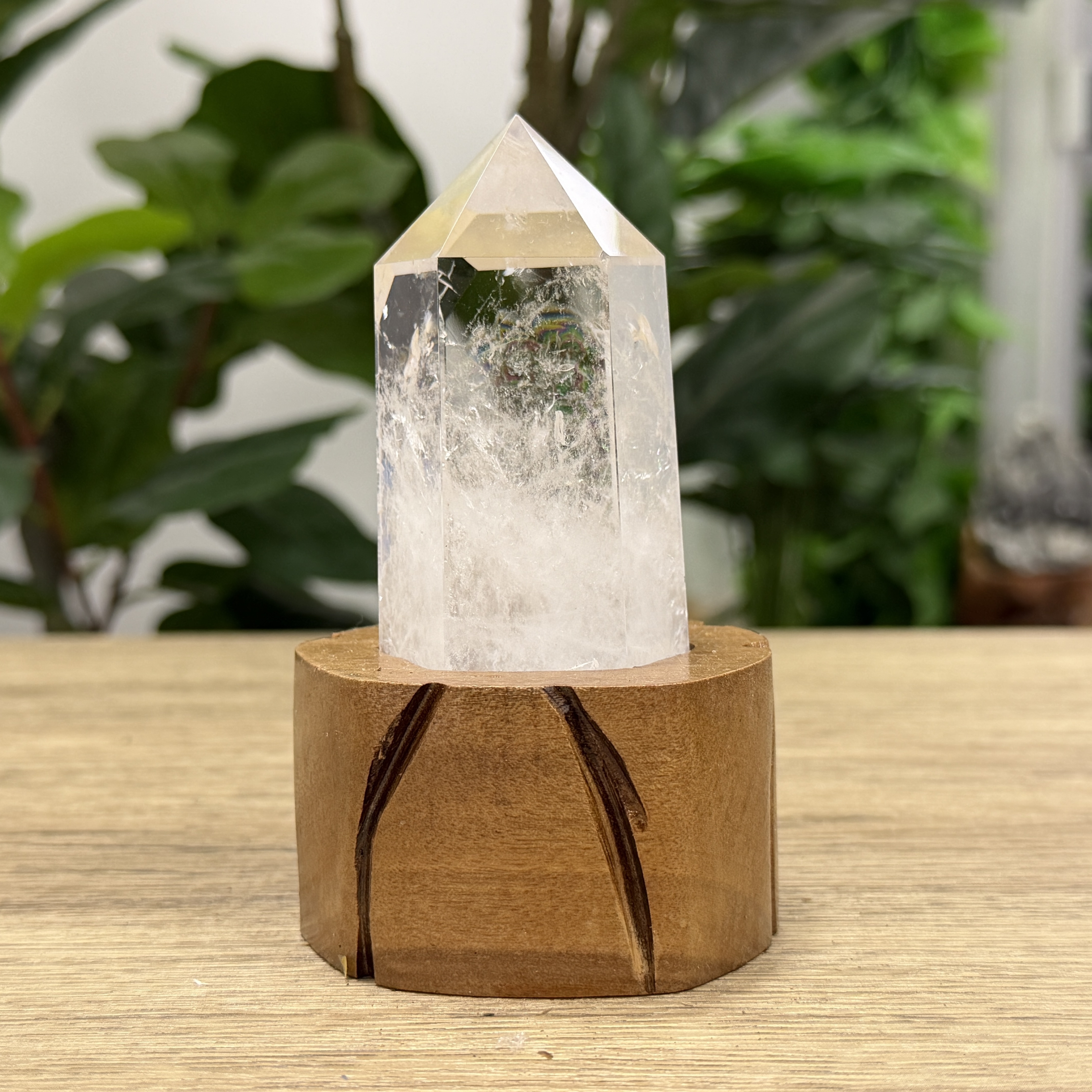 白晶柱 手圍13.5以上 WD2230