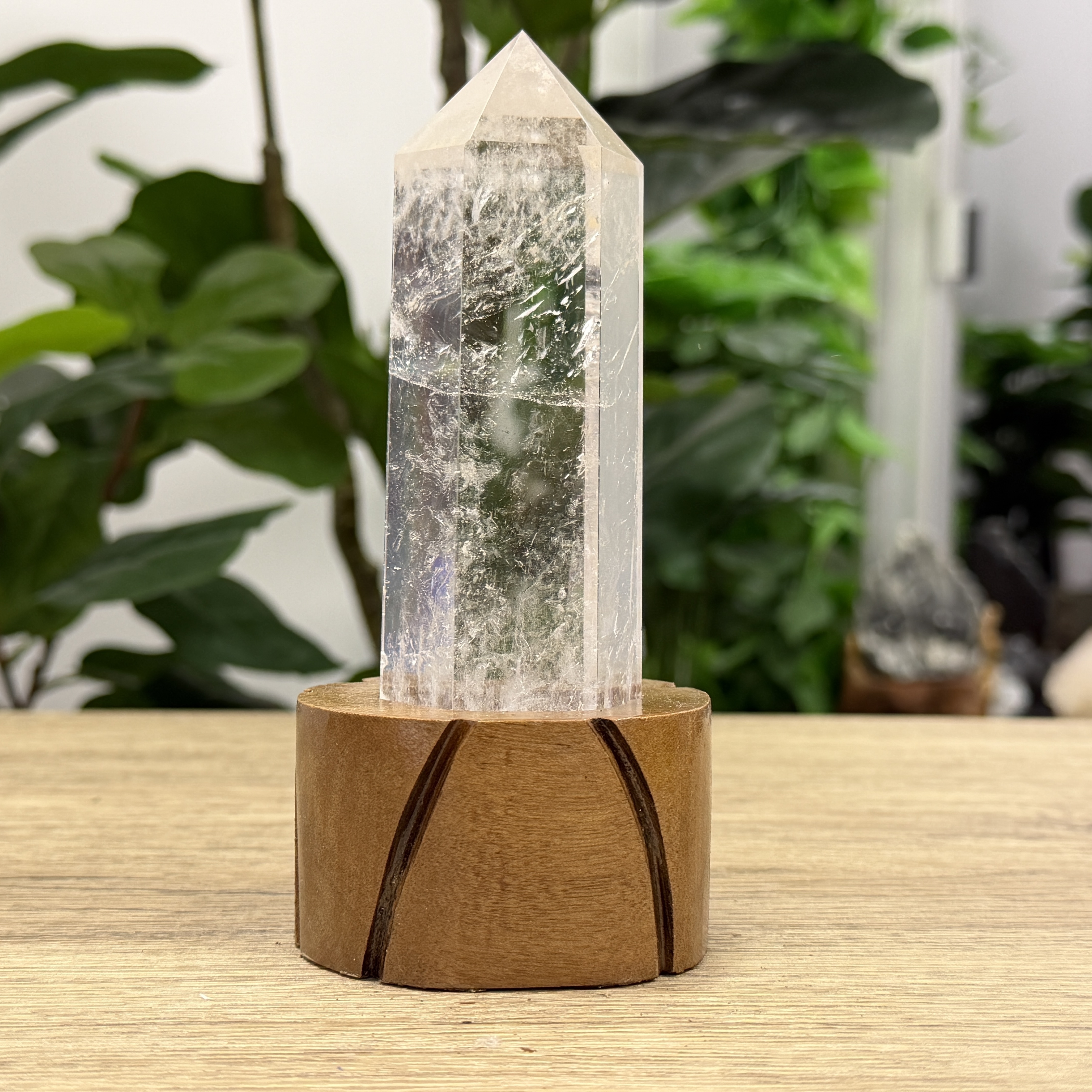 白晶柱 手圍13.5以上 WD2229