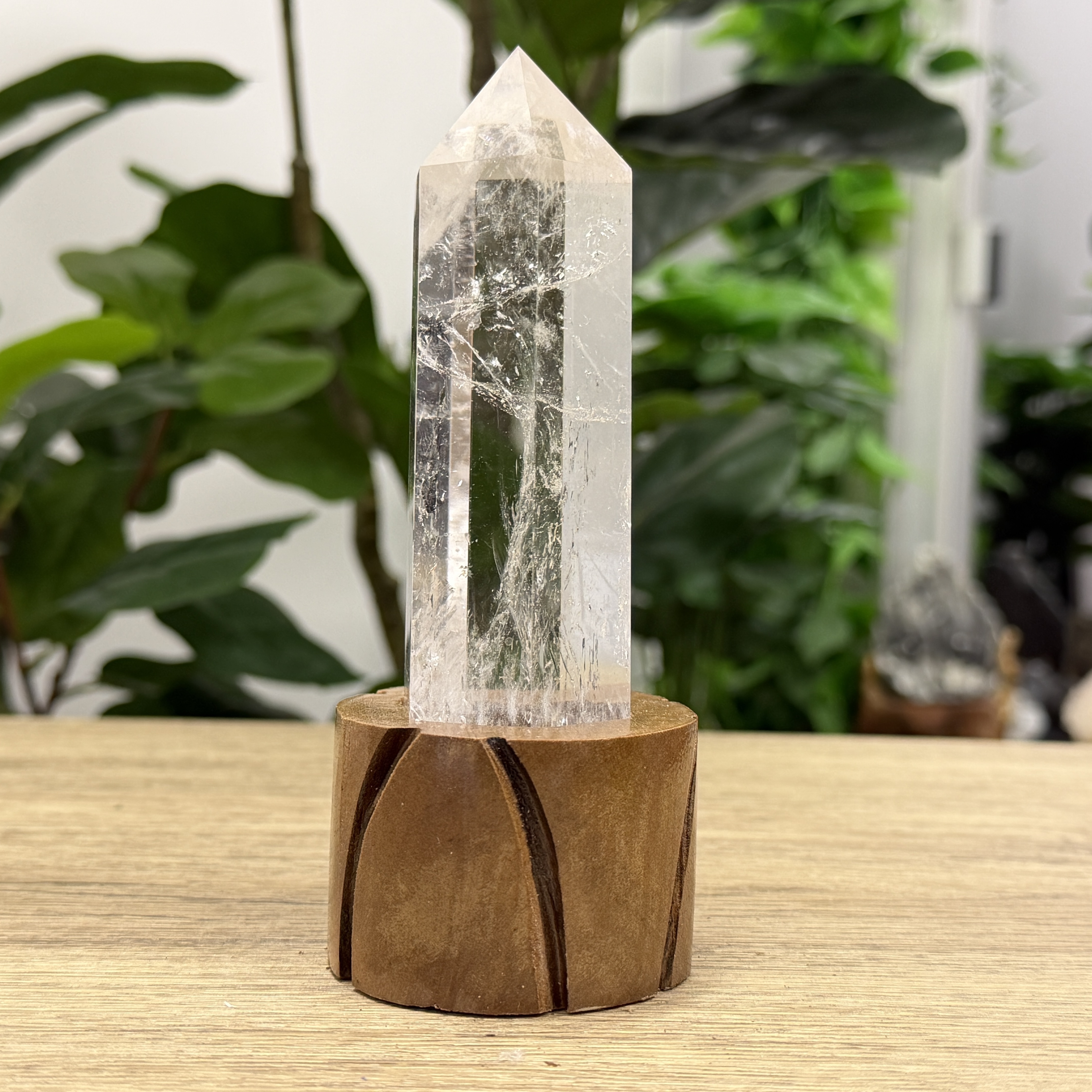 白晶柱 手圍13.5以上 WD2229