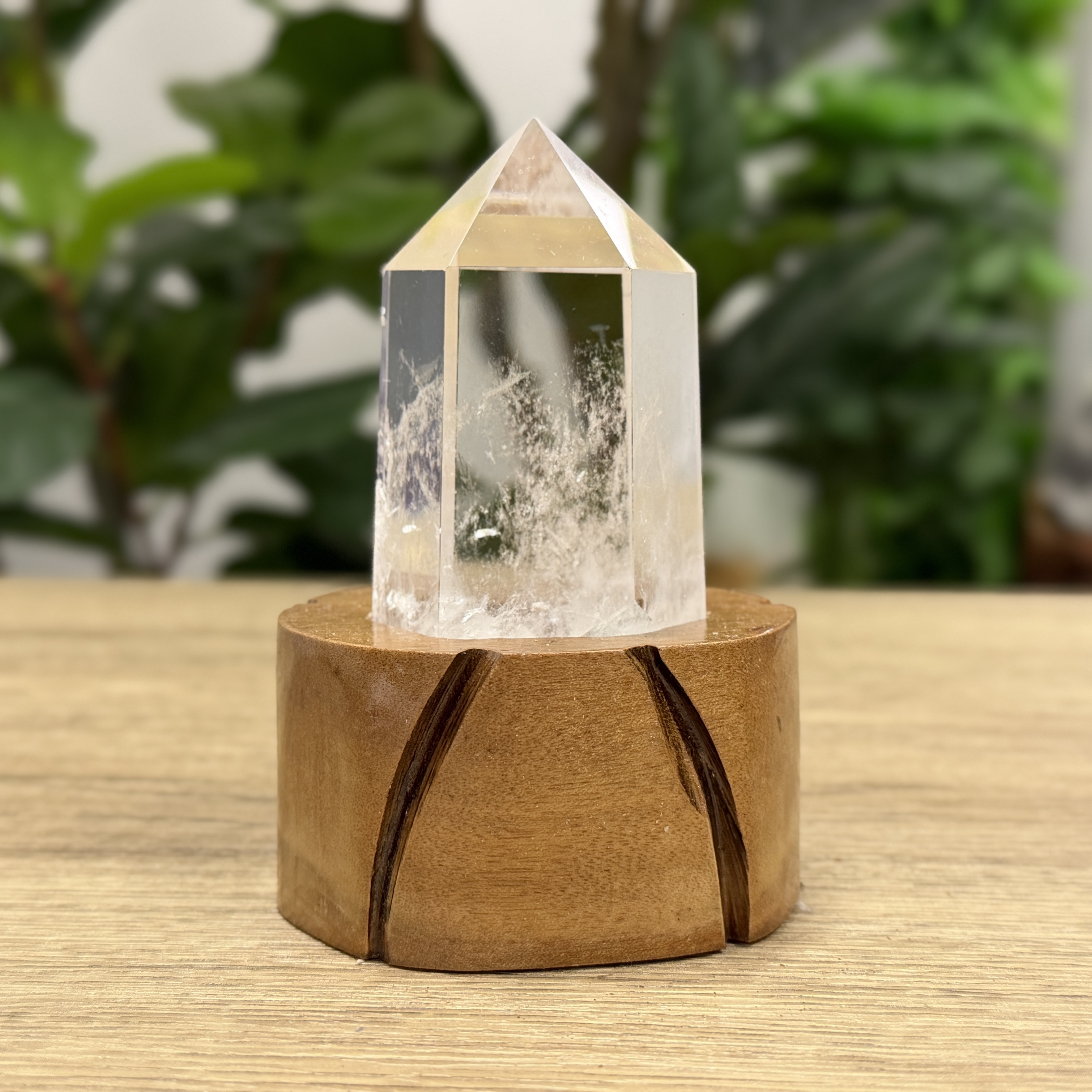 白晶柱 手圍14以上 WD2228