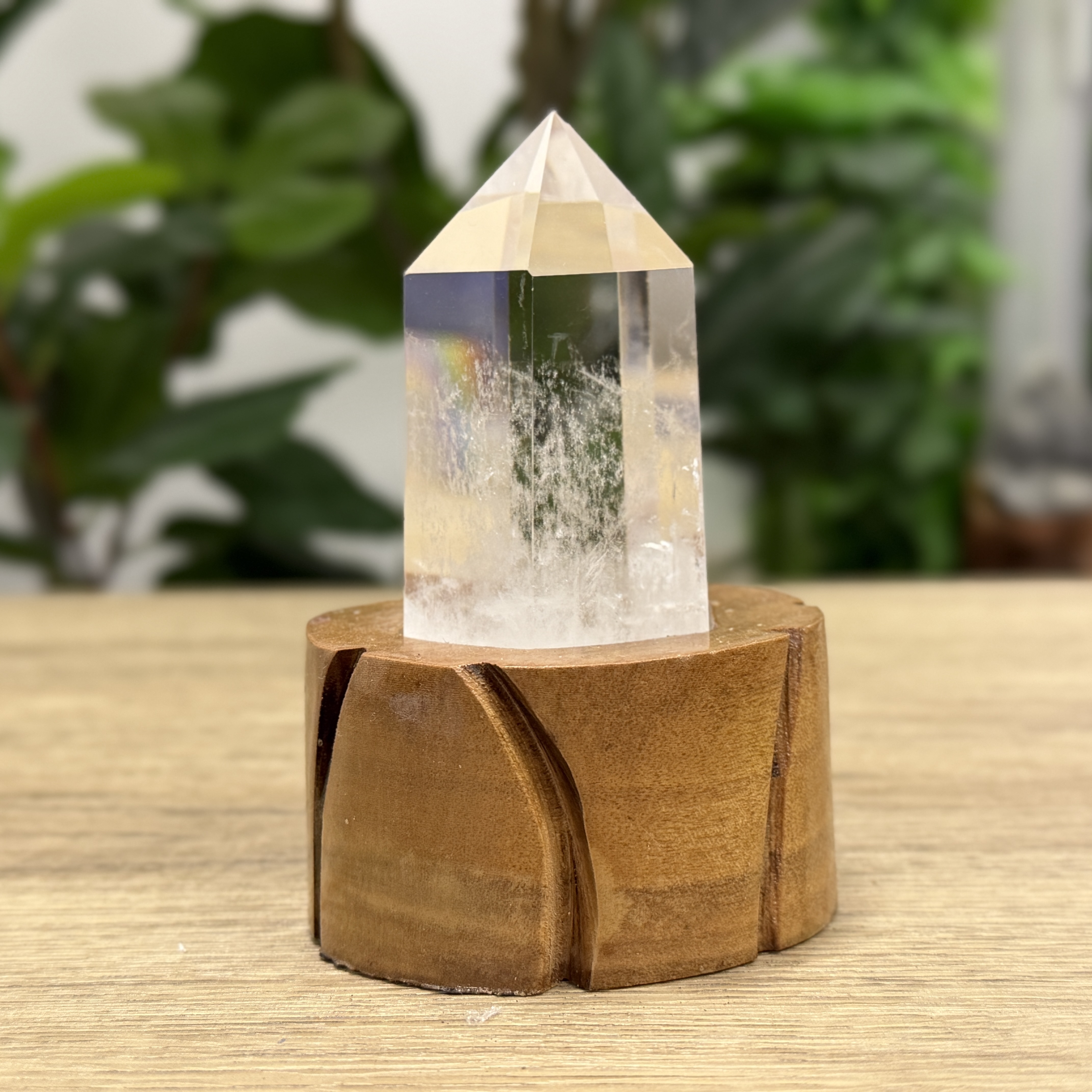 白晶柱 手圍14以上 WD2228