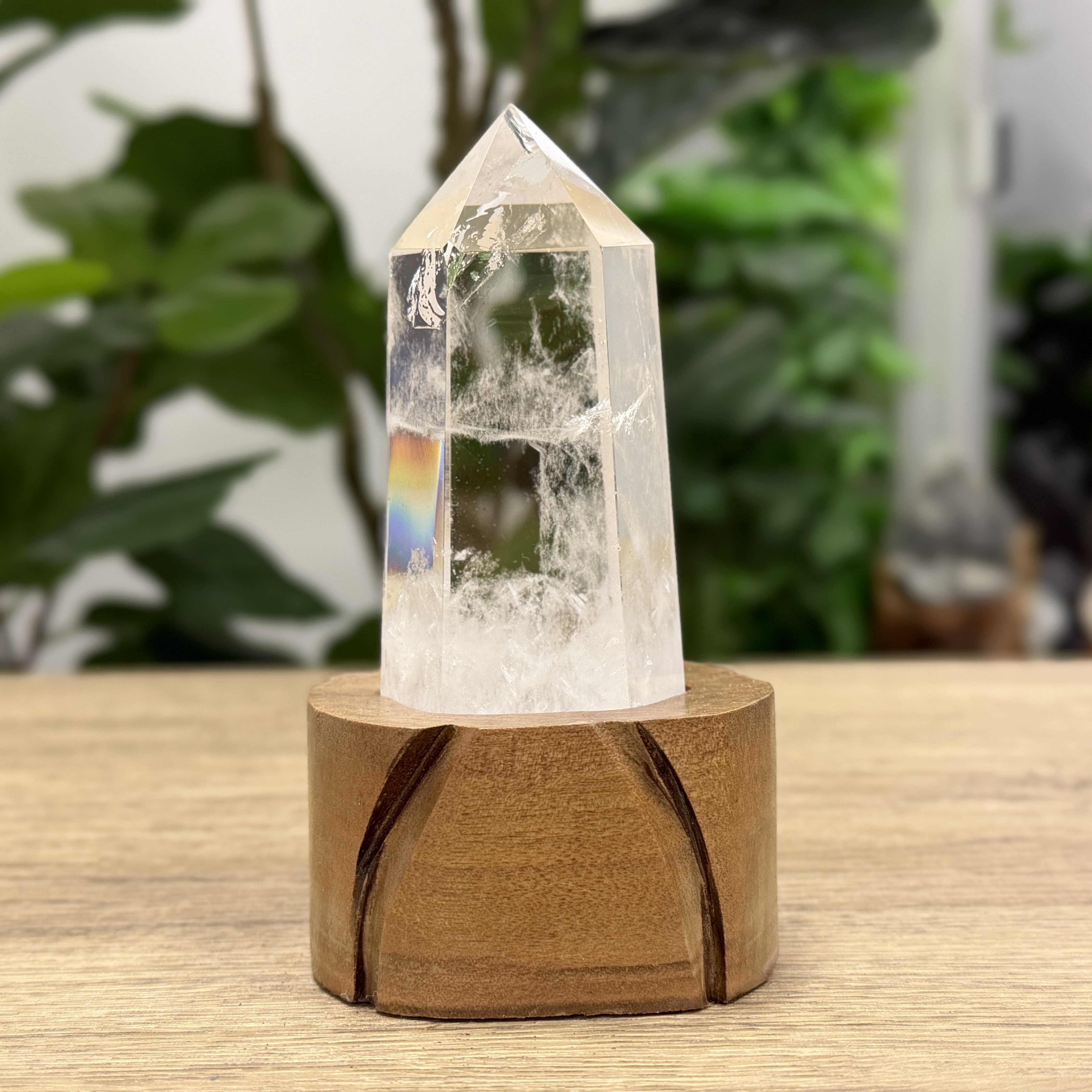 白晶柱 手圍13.5以上 WD2227