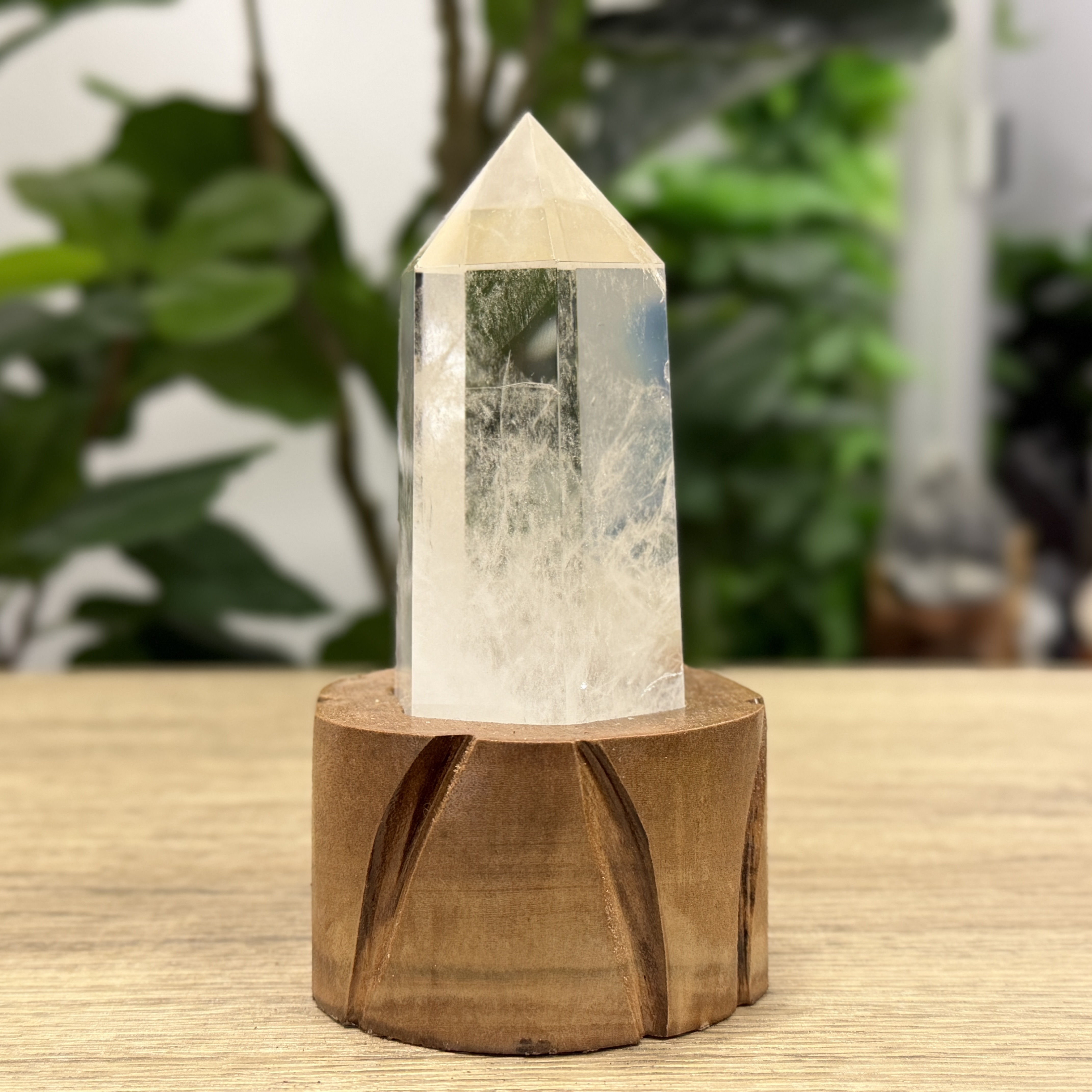 白晶柱 手圍14以上 WD2226