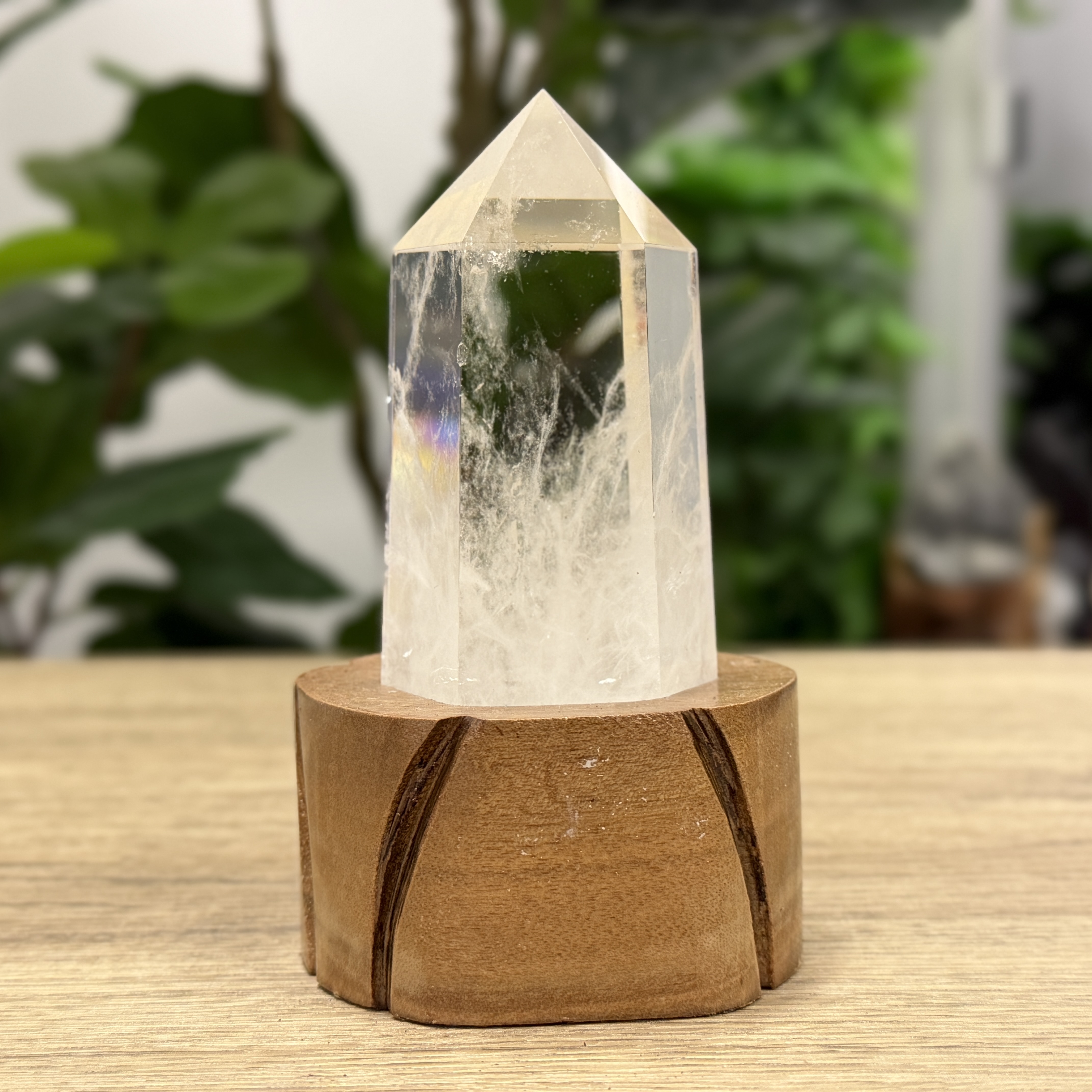 白晶柱 手圍14以上 WD2226