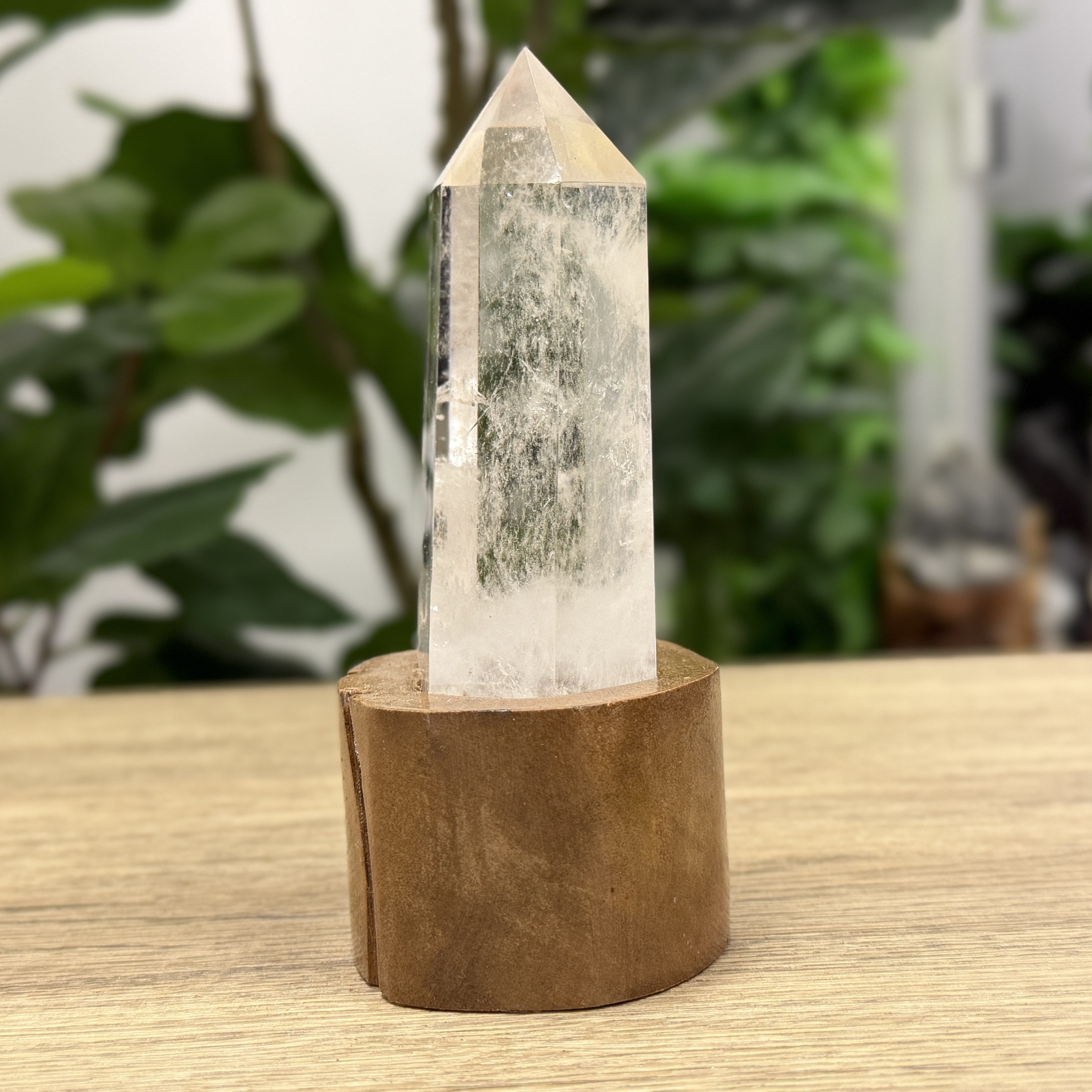 白晶柱 手圍13.5以上 WD2225