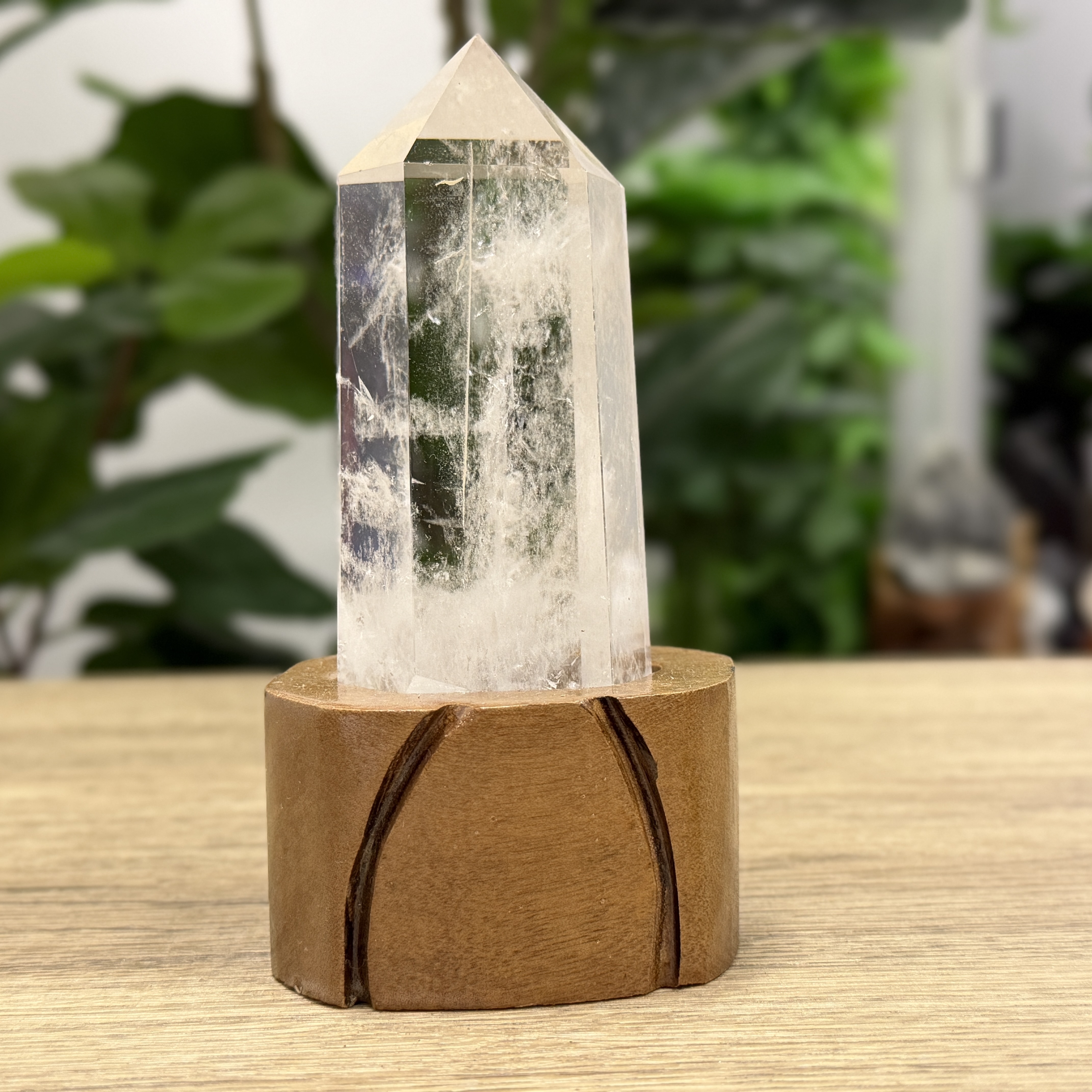 白晶柱 手圍13.5以上 WD2225