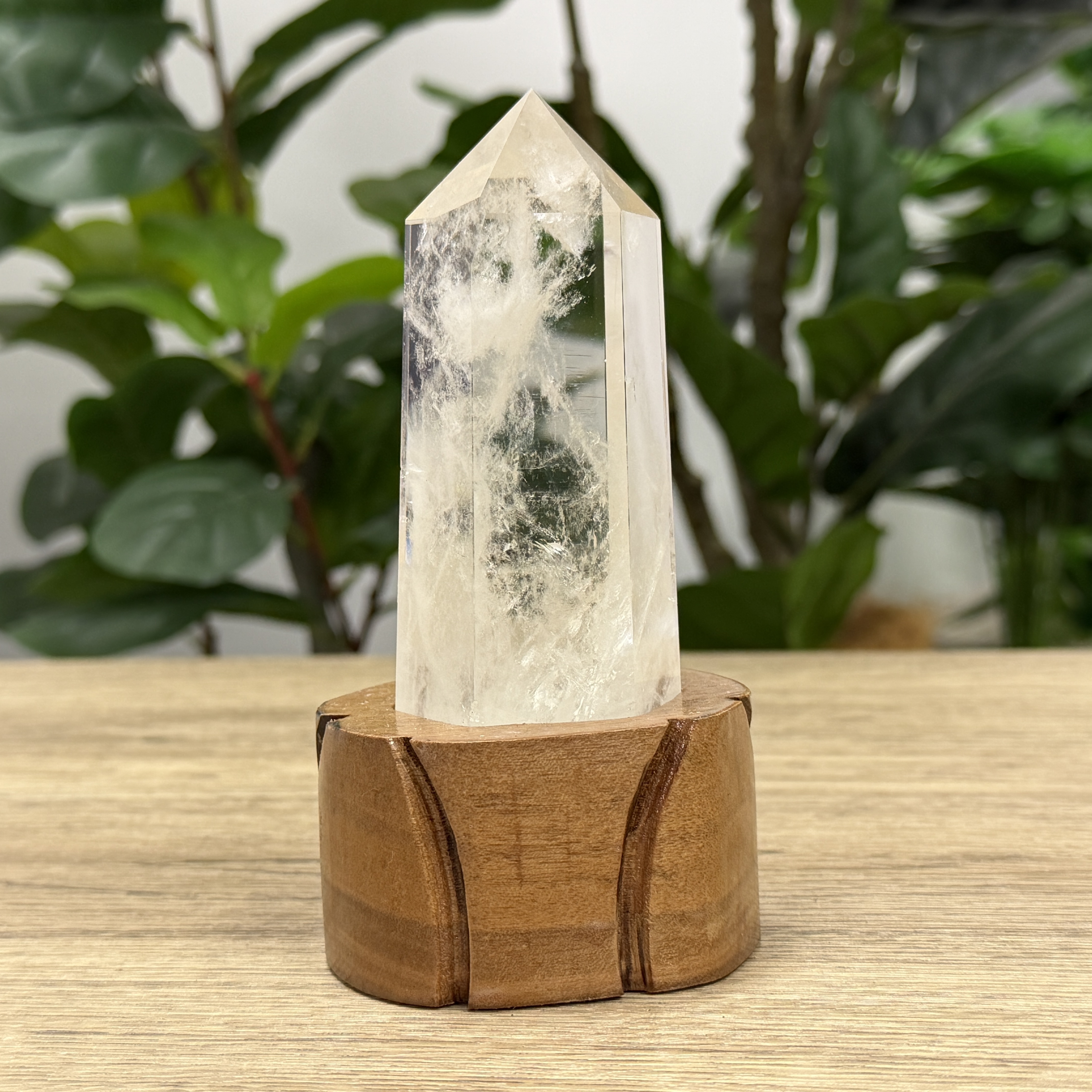 白晶柱 手圍13.5以上 WD2223