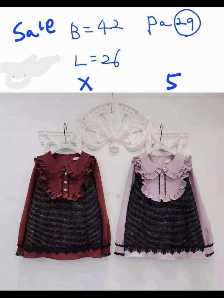 P67 胸42 長26 $499 (一口價)