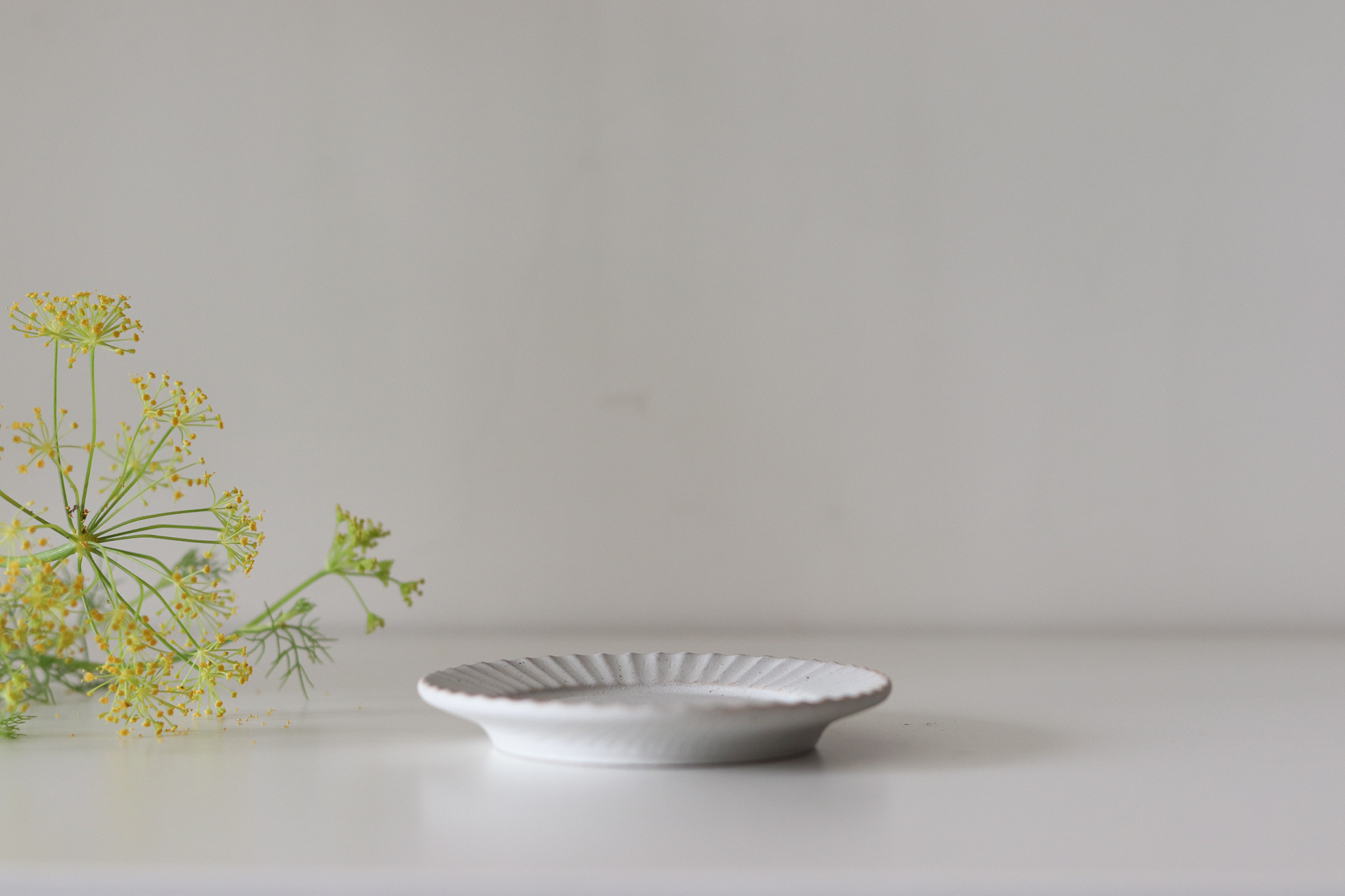 日本 美濃燒 華蝶扇 刻紋 小碟