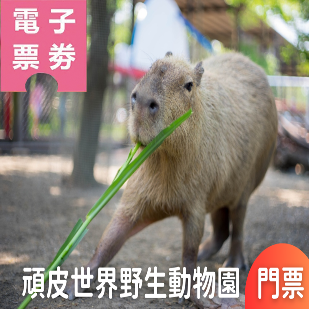 【電子票劵】【假日限定】頑皮世界野生動物園門票 (全票/學童票)(贈60元消費券)Ⓕ