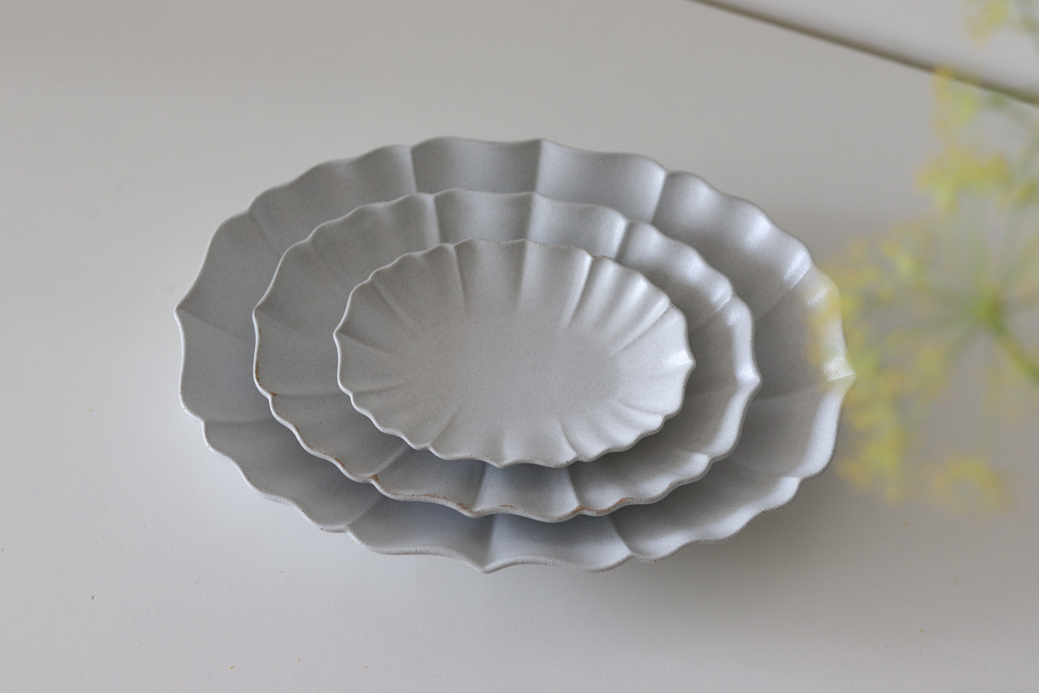 日本 美濃燒 Lotus 花邊 橢圓盤