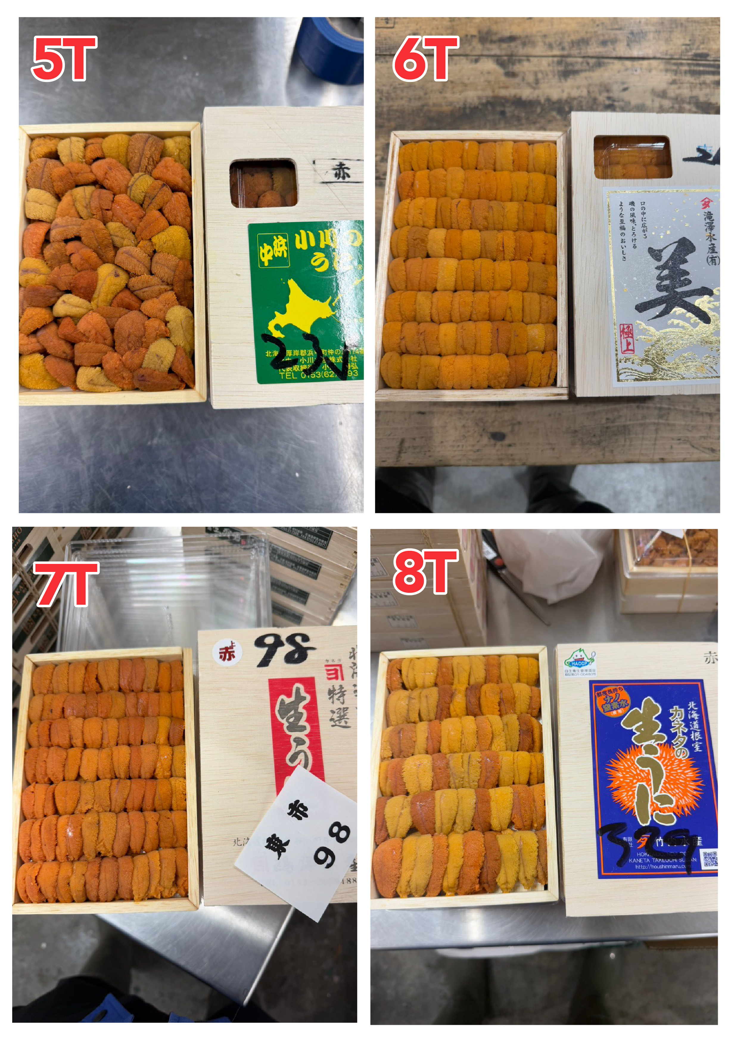 【指定海膽推薦】每天更新 (限即日落單, 翌日送)