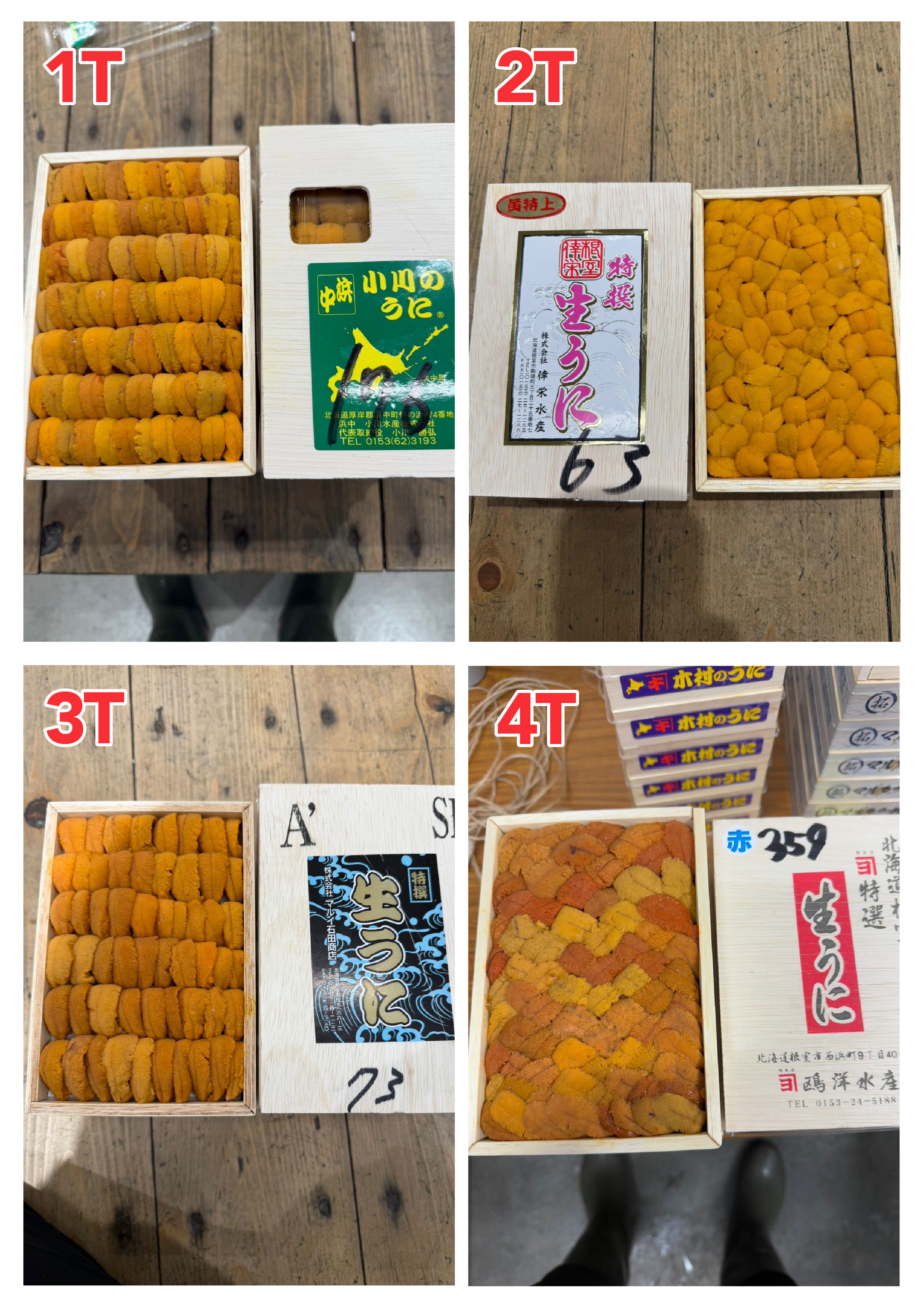 【指定海膽推薦】每天更新 (限即日落單, 翌日送)