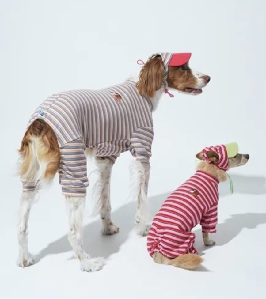 Puppy Gallery -Homeground 條紋四腳衣(三色）