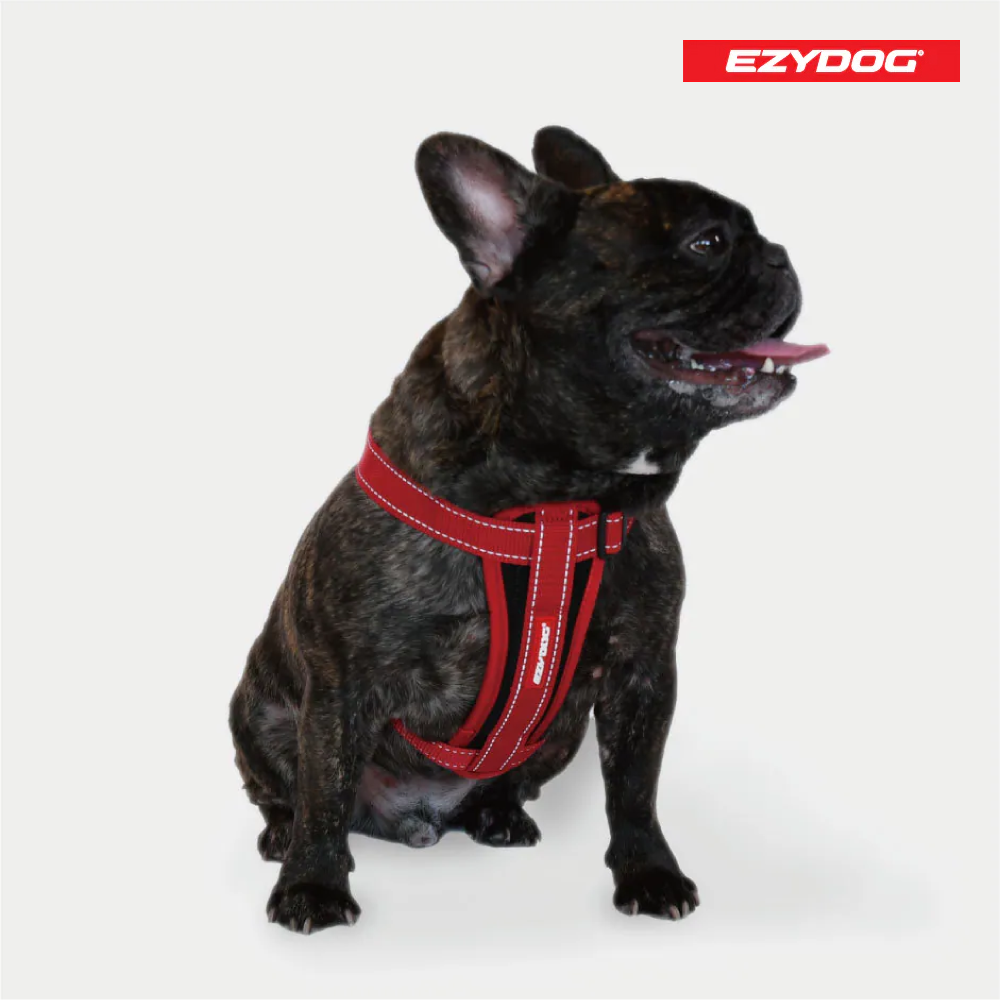 澳洲EzyDog | 狗體工學胸背帶