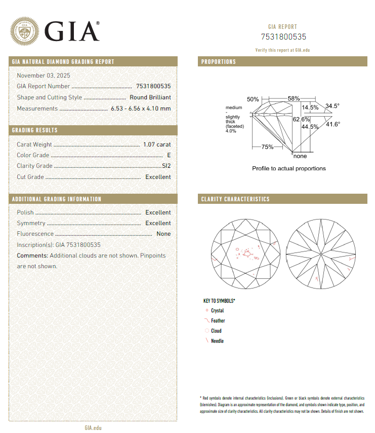 GIA鑽石 1.07 E SI2 3EX NON