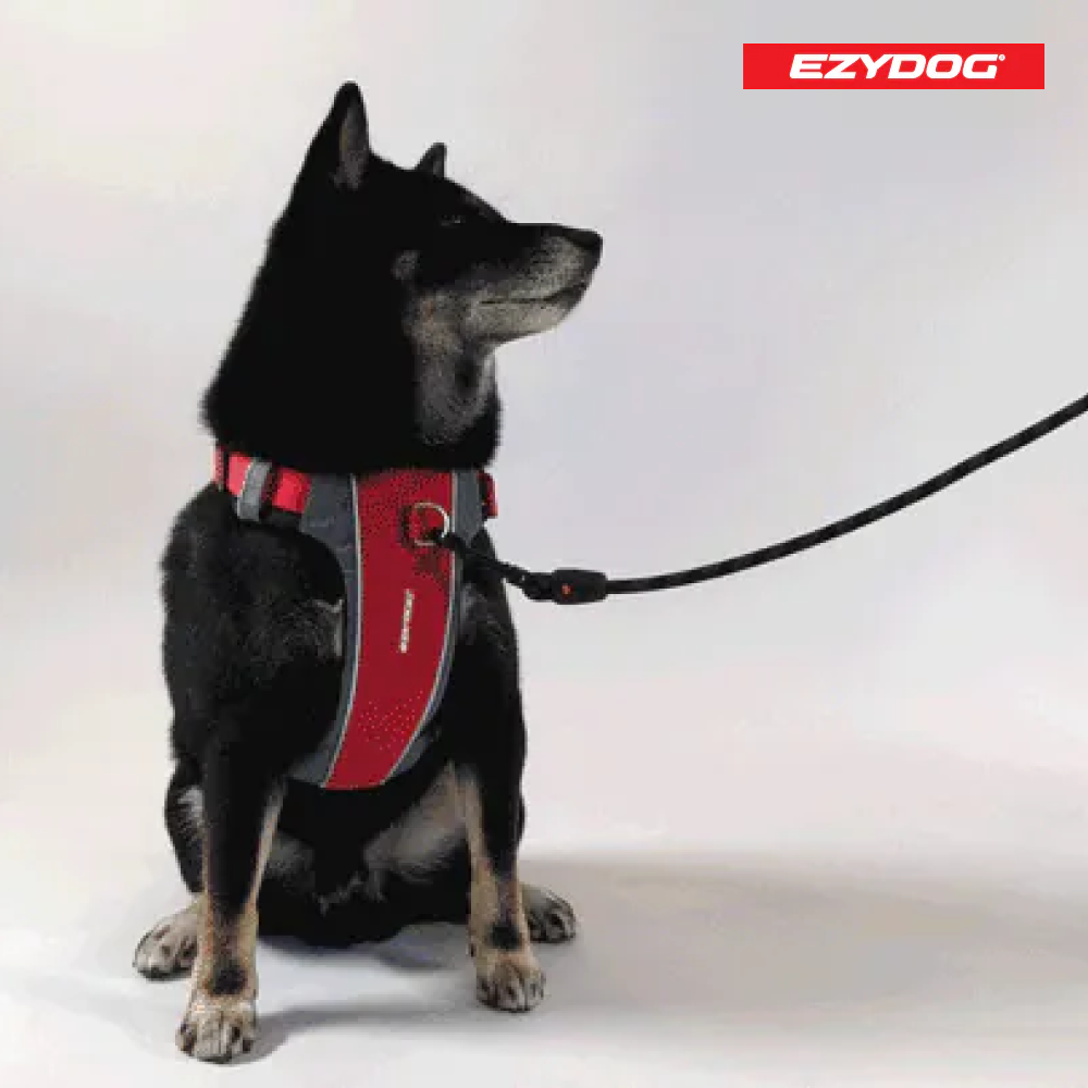 澳洲EzyDog | X減壓胸背帶