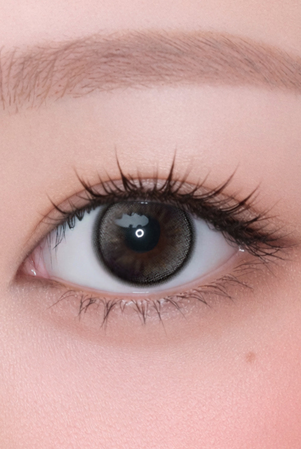 [月拋] Hapa Kristin Dolly Kristin 1 Month Black 黑色 月拋美瞳 |每盒2片