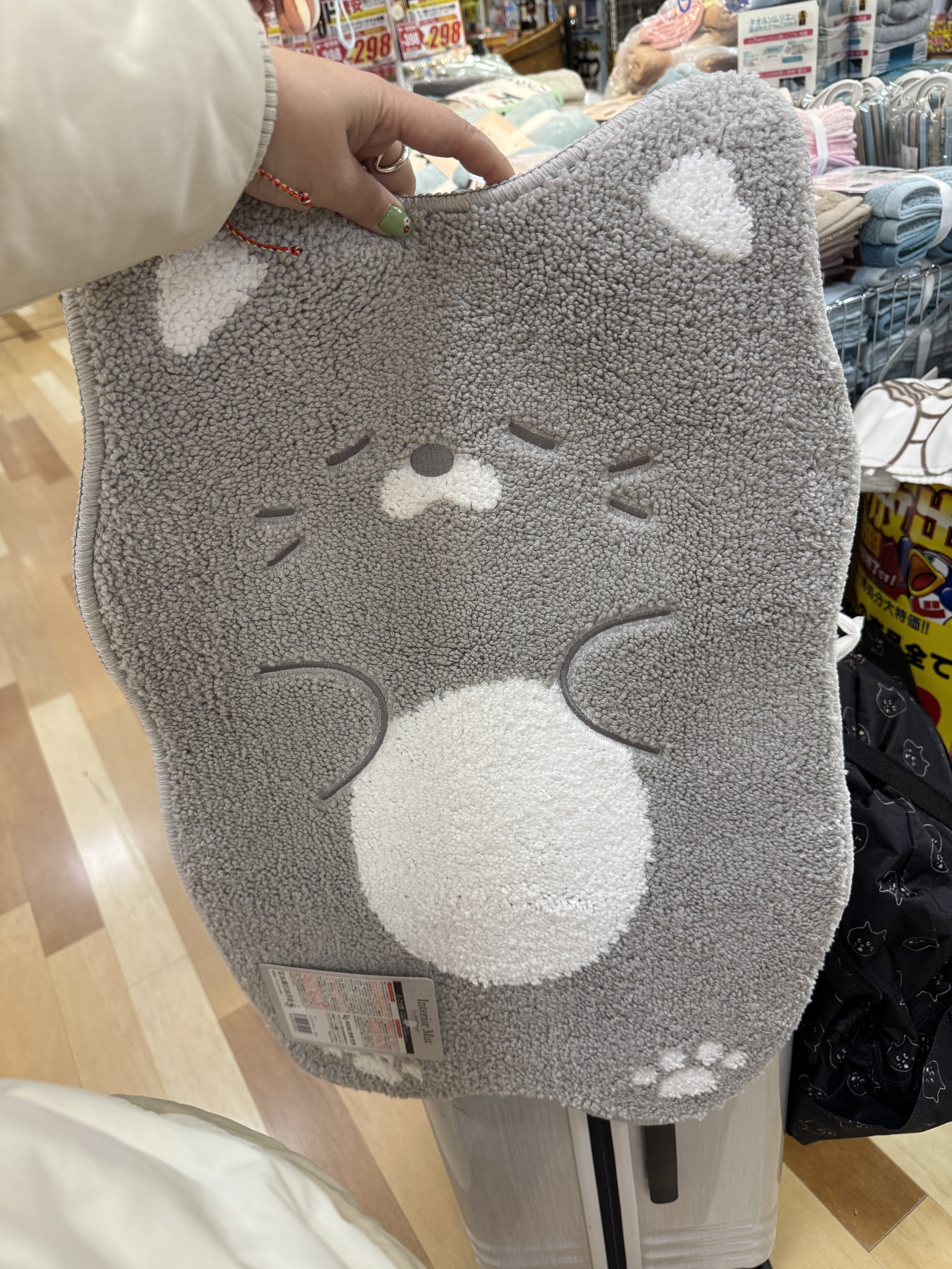 260206 快閃激減 貓貓灰色地毯