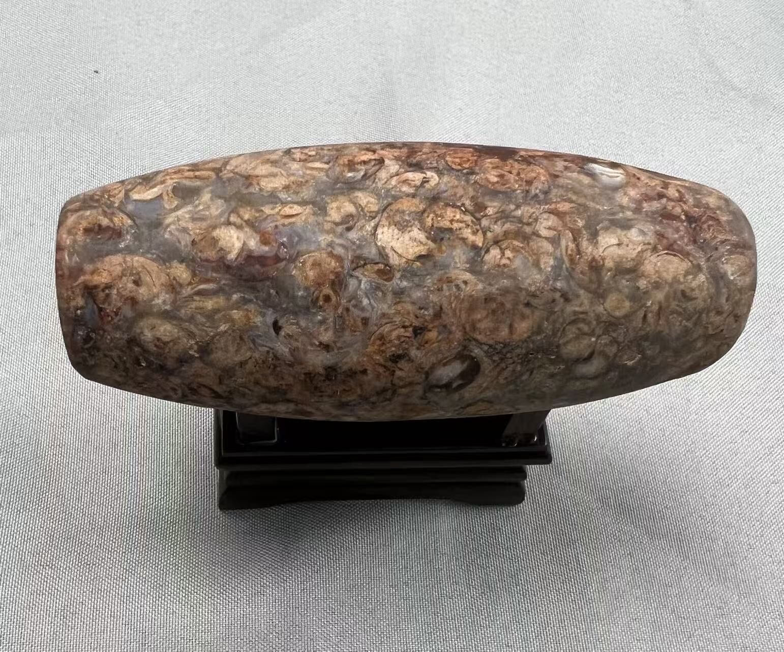 VC069 C69 法螺供珠