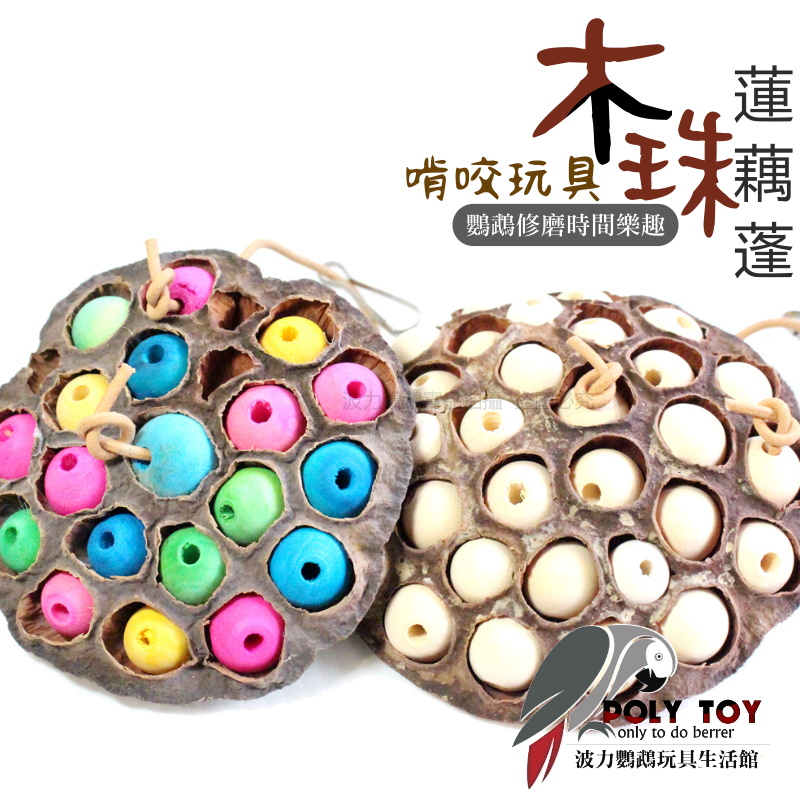 木珠蓮藕蓬 原色 彩色 鸚鵡玩具 腳下玩具 啃咬玩具 波力鸚鵡玩具生活館