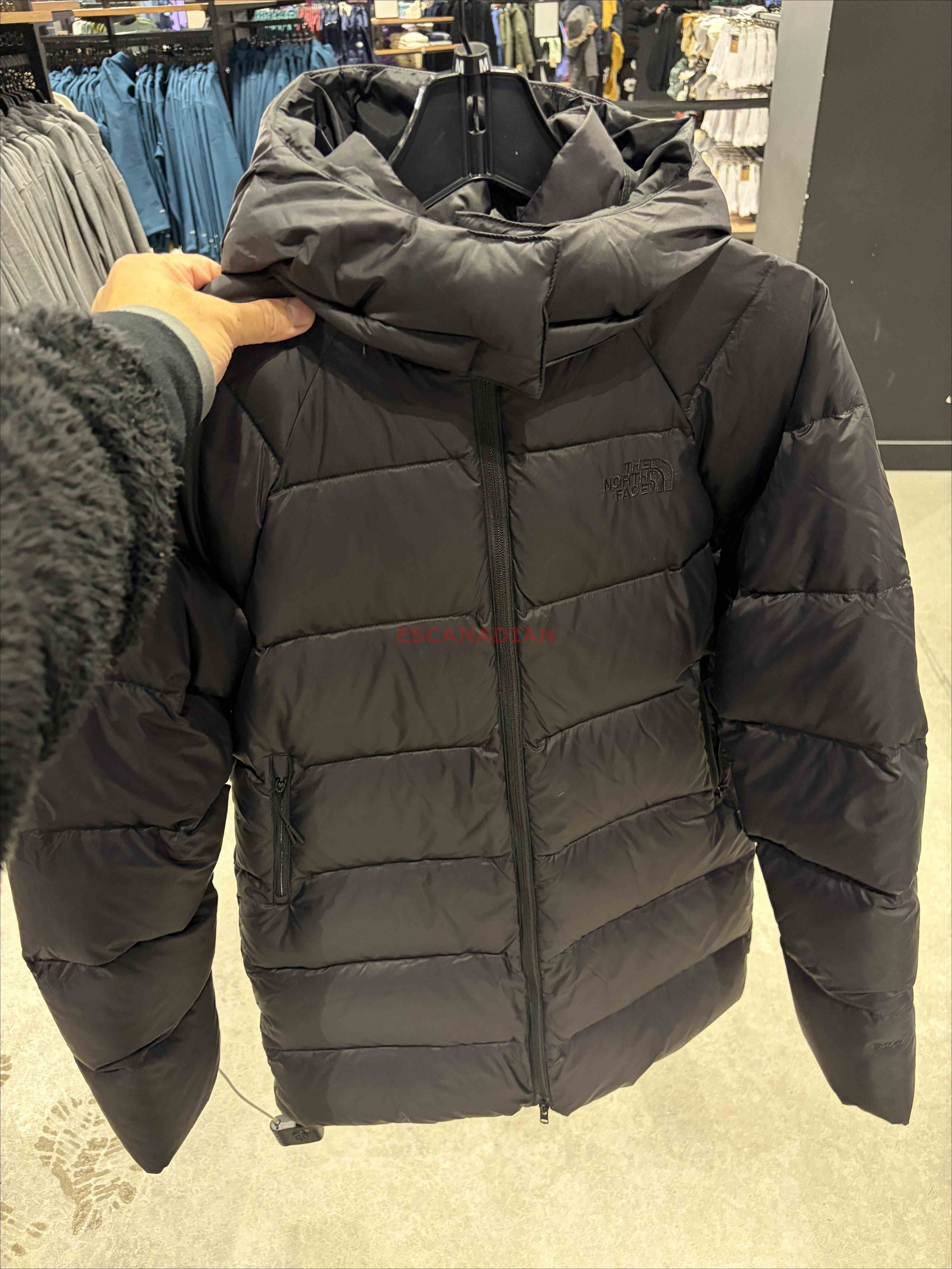 THE NORTH FACE 女大人 Hydrenalite 超輕便600蓬鬆羽絨 黑標 防潑水 刺繡正反小標 長版 外套 (帽子可拆)