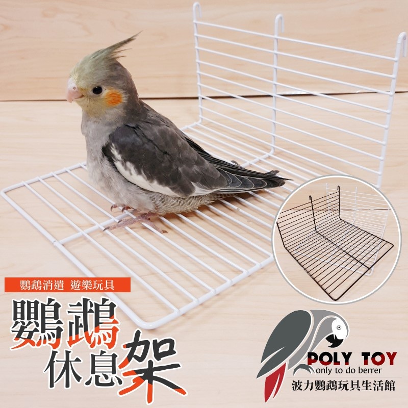 鸚鵡休息架 鸚鵡平台 鸚鵡用品 波力鸚鵡玩具生活館