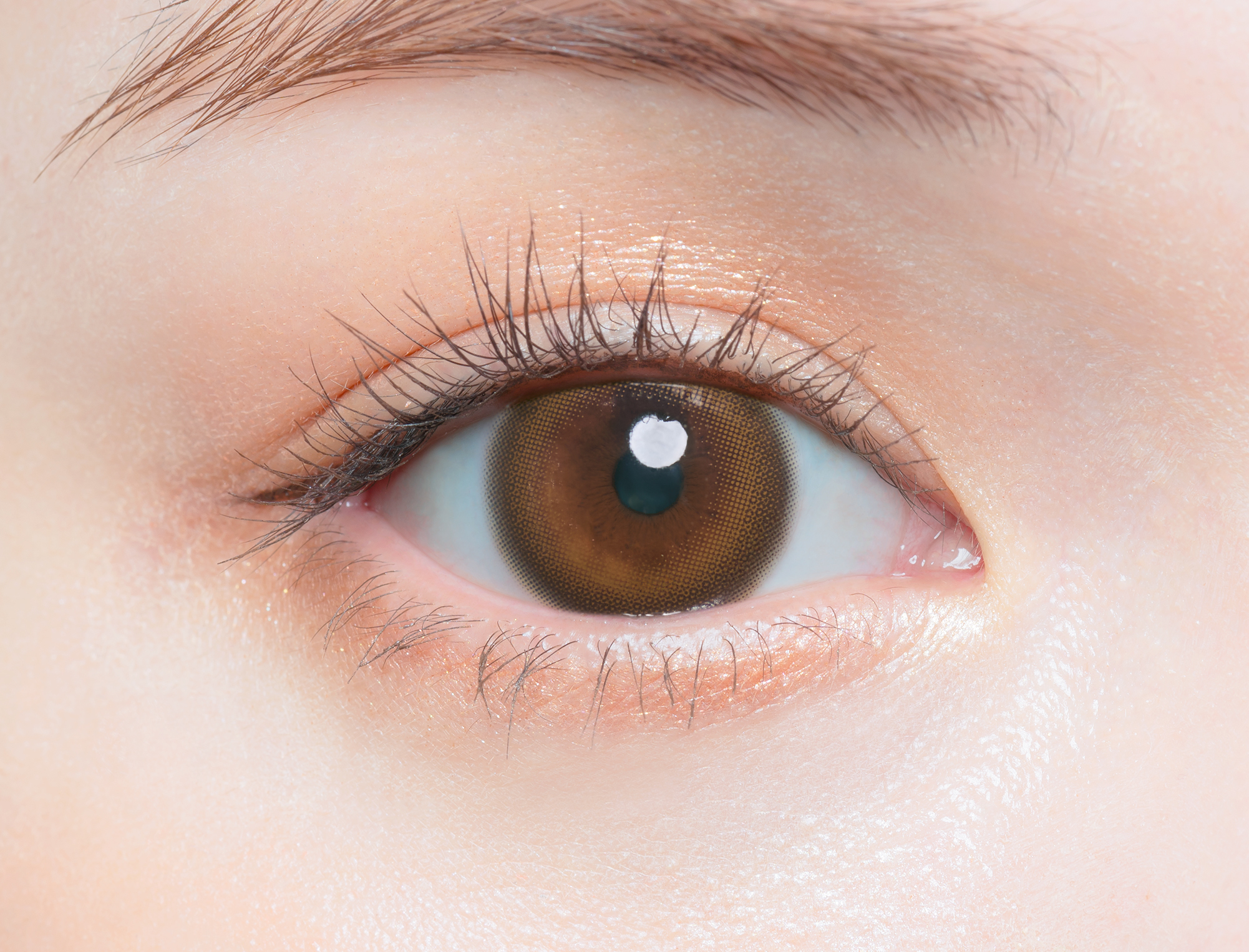 Chu’s me 1Day Color Contact Lenses 每日即棄有色隱形眼鏡 10片 Holy Kiss