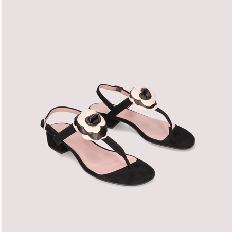 1PB0109-009 [PRETTY BALLERINAS] Lulu Leather Sandals Black #50431_A (BR)