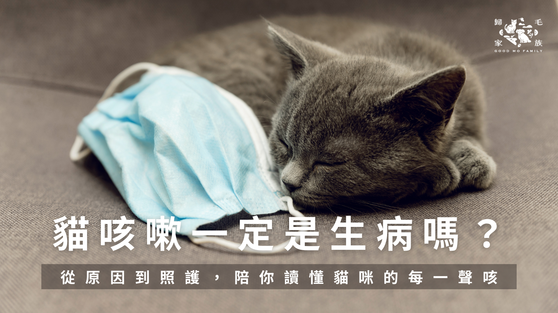 貓咳嗽一定是生病嗎？本篇帶你了解貓咳嗽原因，從毛球、環境刺激到氣喘與慢性支氣管炎，教你觀察貓躲起來、生病前的關鍵線索，並說明日常照護與營養支持方向，幫助飼主做出正確判斷。