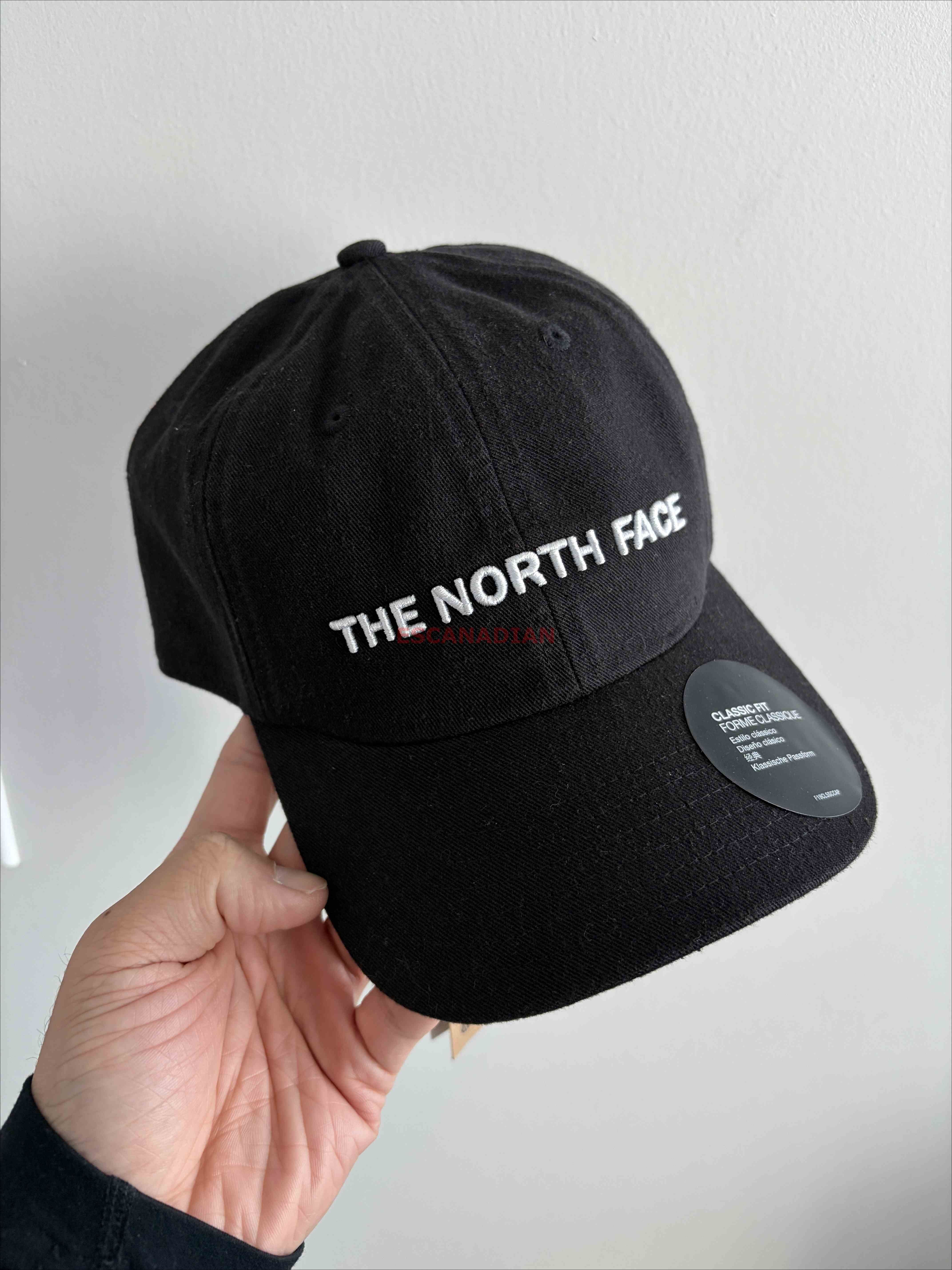 THE NORTH FACE 大人 經典立體 刺繡字樣 帽子