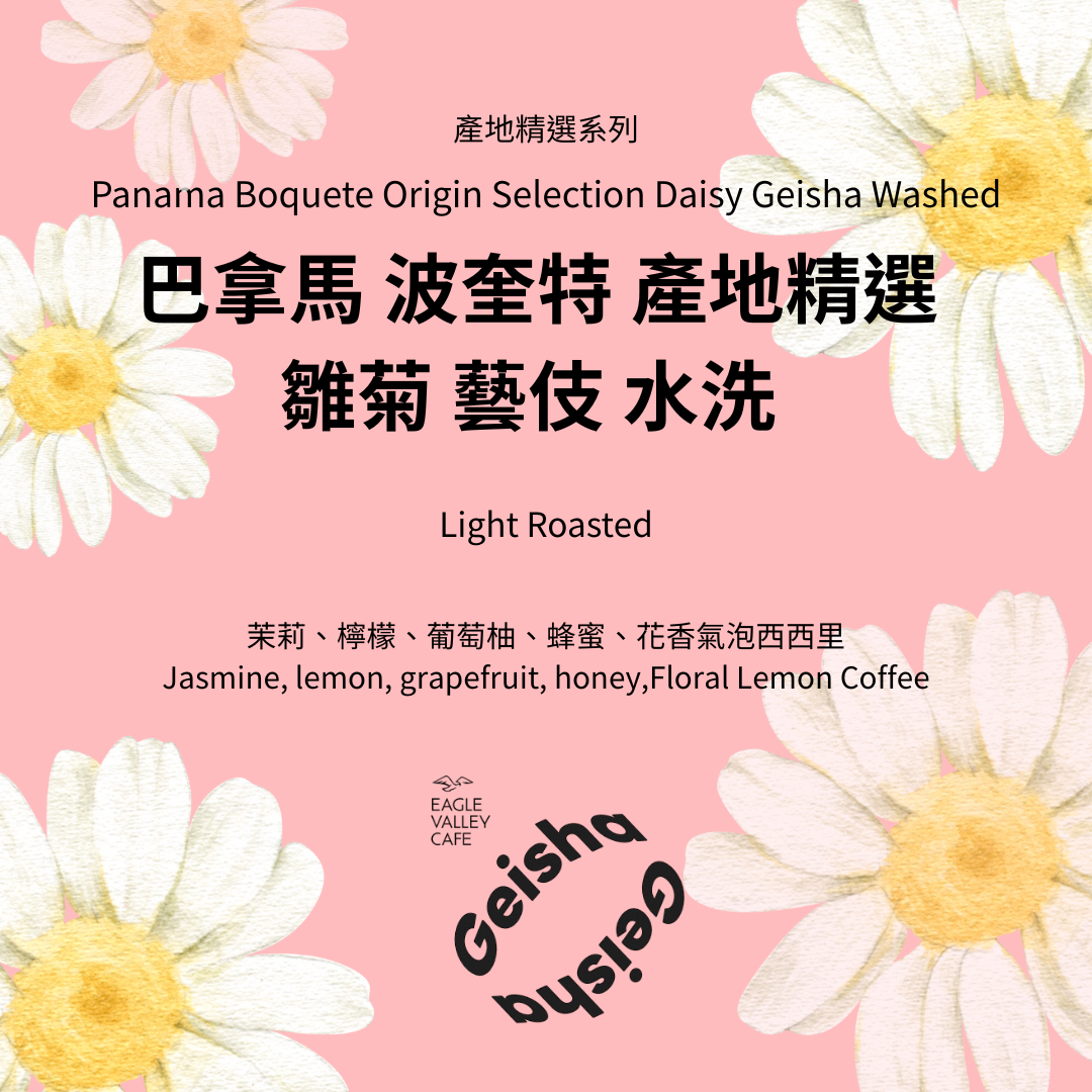 巴拿馬 波奎特 產地精選 雛菊 藝伎 水洗 淺焙 咖啡豆