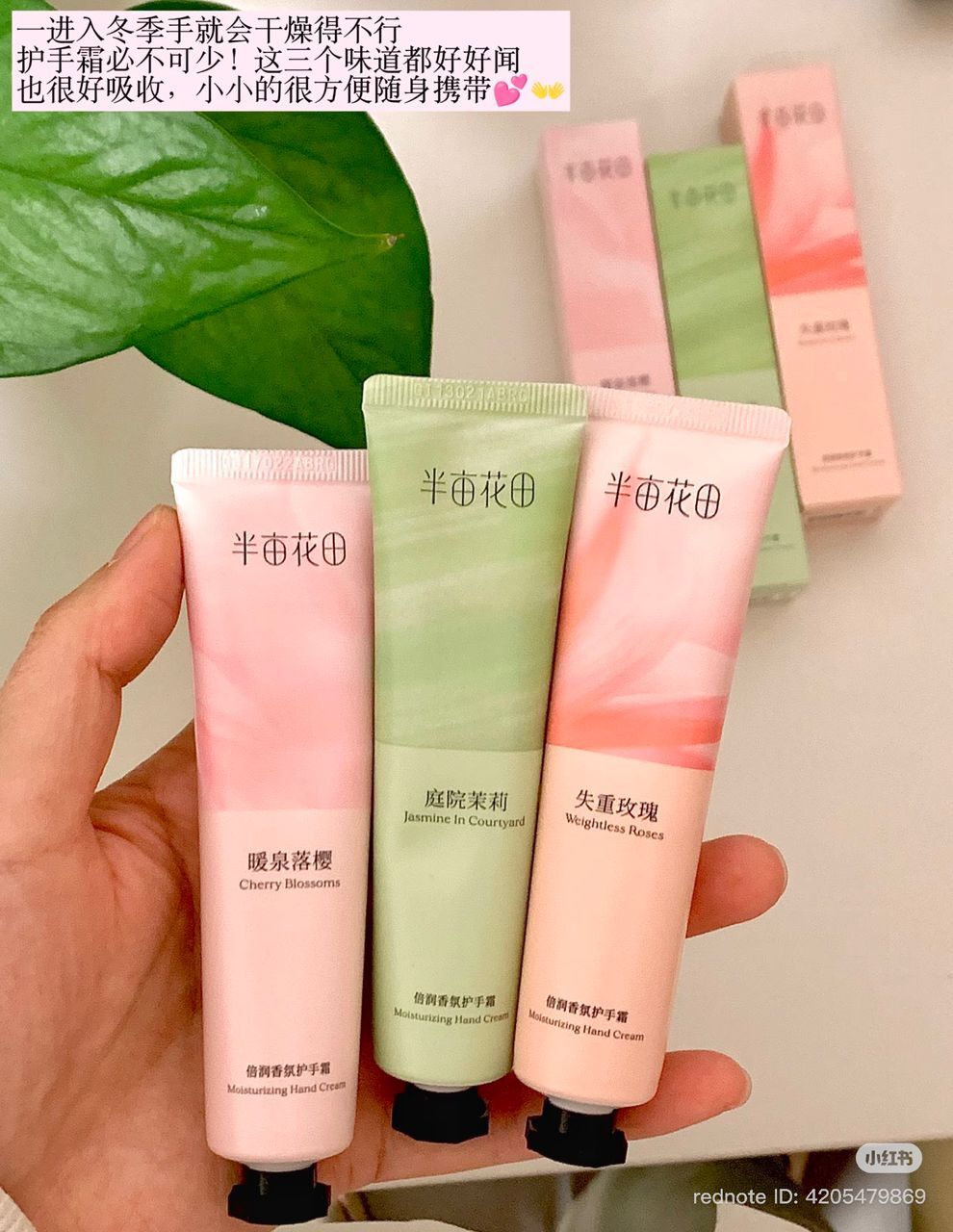 Little Garden Dream Fragrance Moisturizing Hand Cream