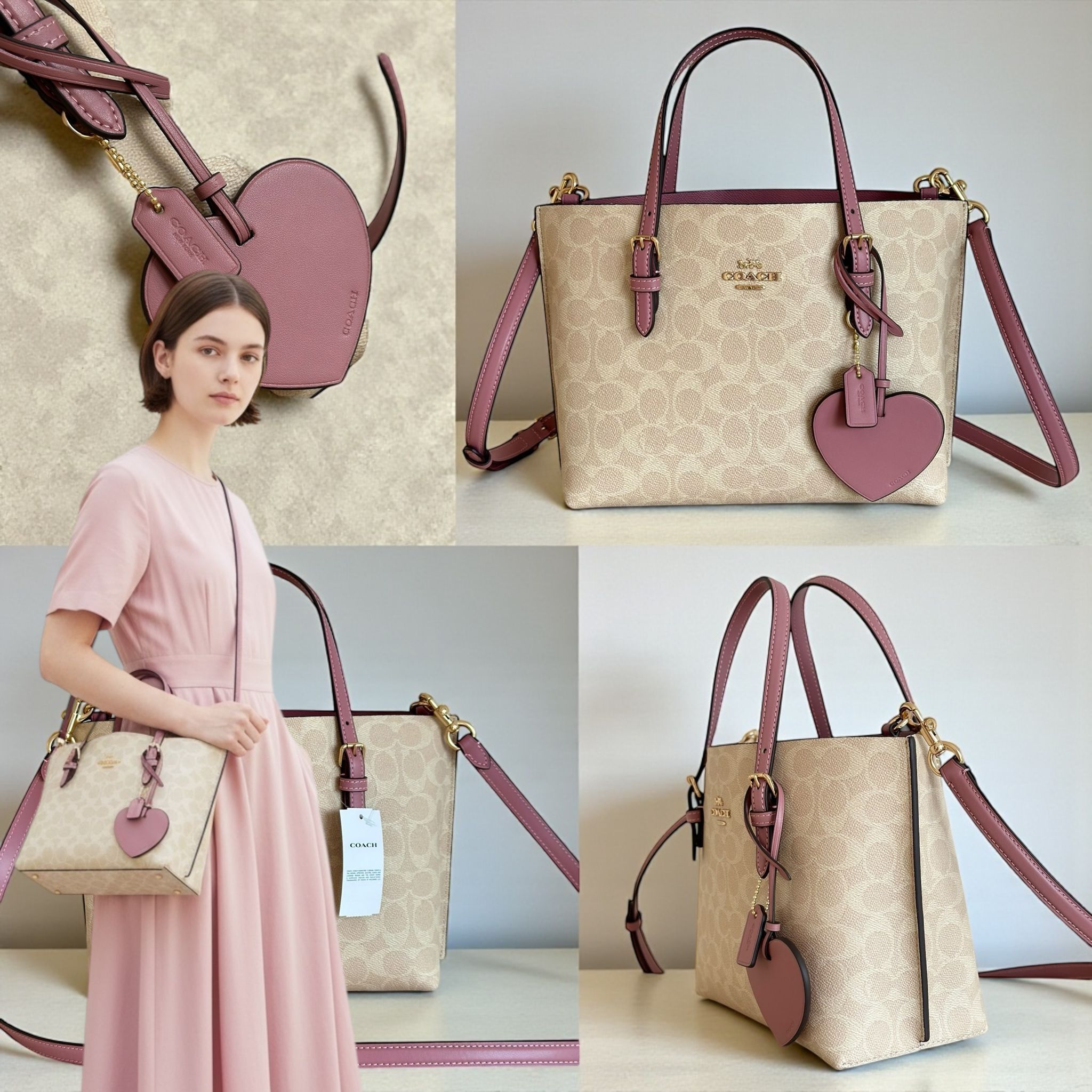 COACH Mollie 25 牡丹色手袋