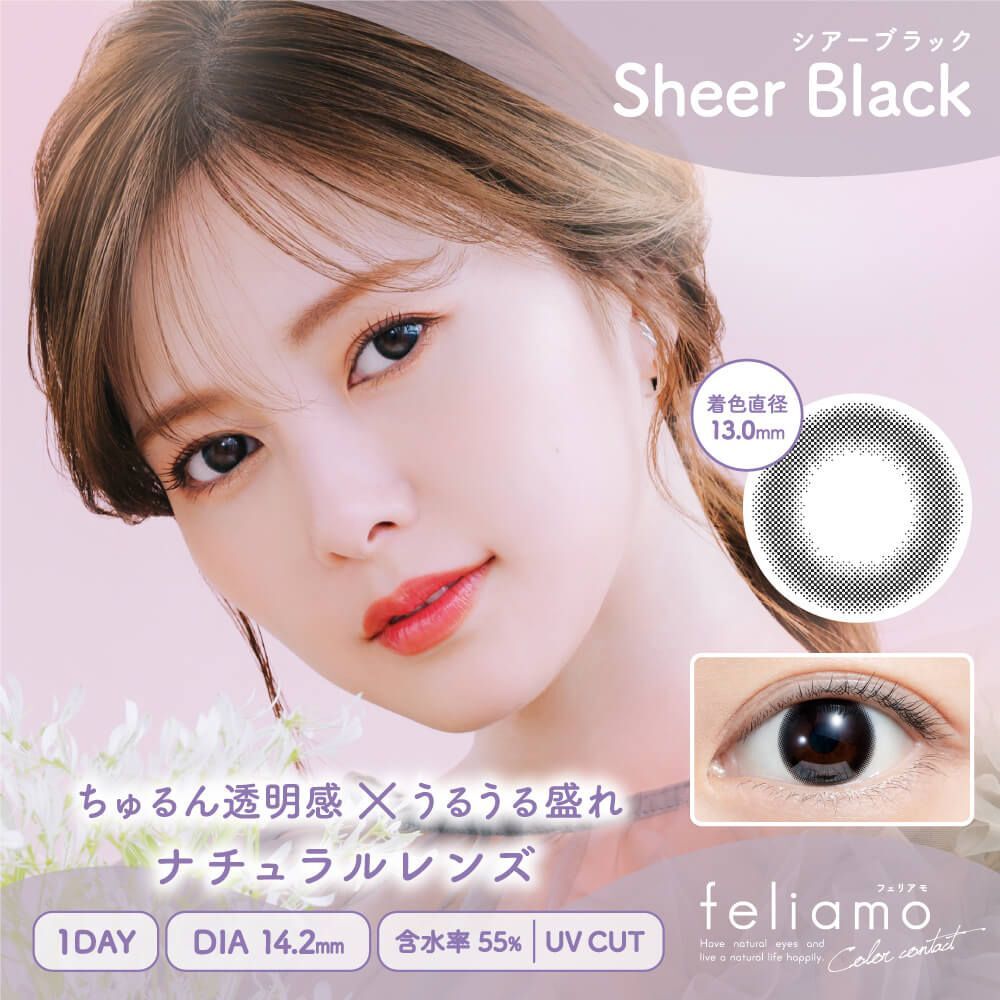 Feliamo 1 Day (Sheer Black) (10P)