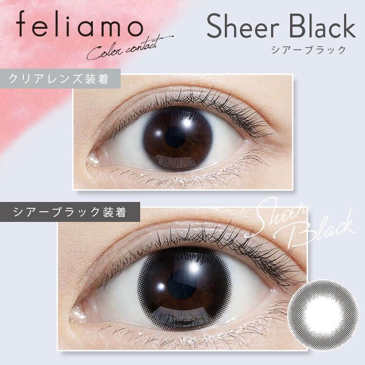 Feliamo 1 Day (Sheer Black) (10P)