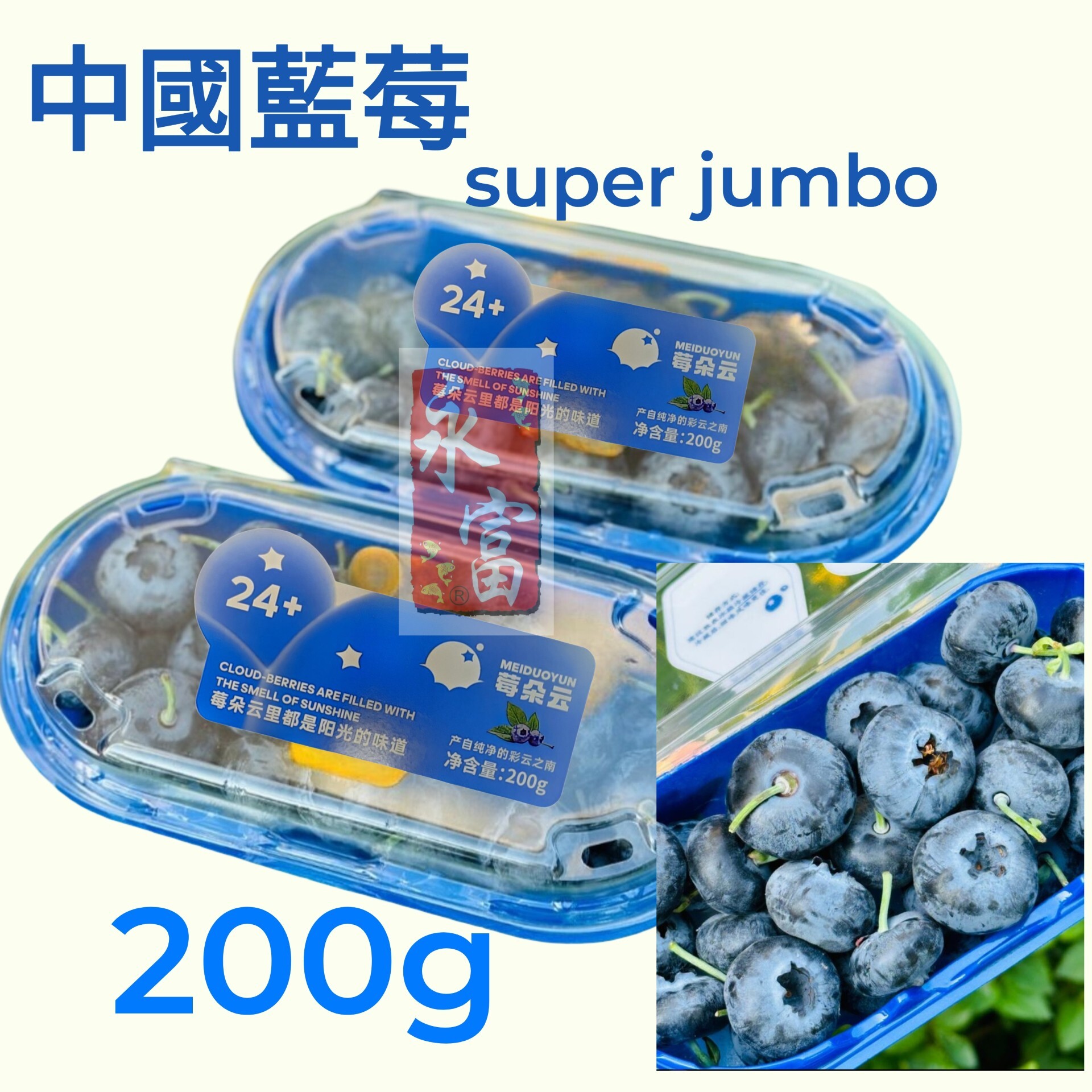 中國藍莓(200G)-1盒