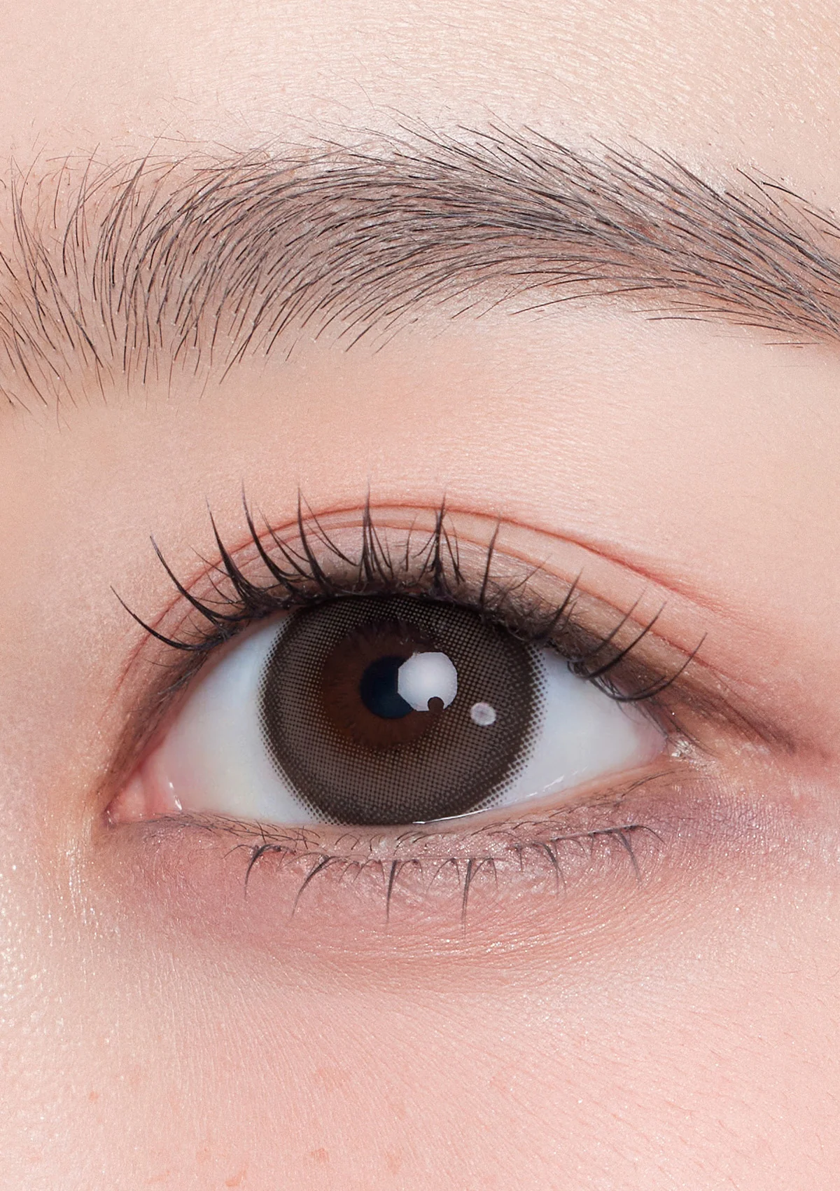 CHUU - Milk & Tea Monthly 13.8mm(Cream Choco)(2P)