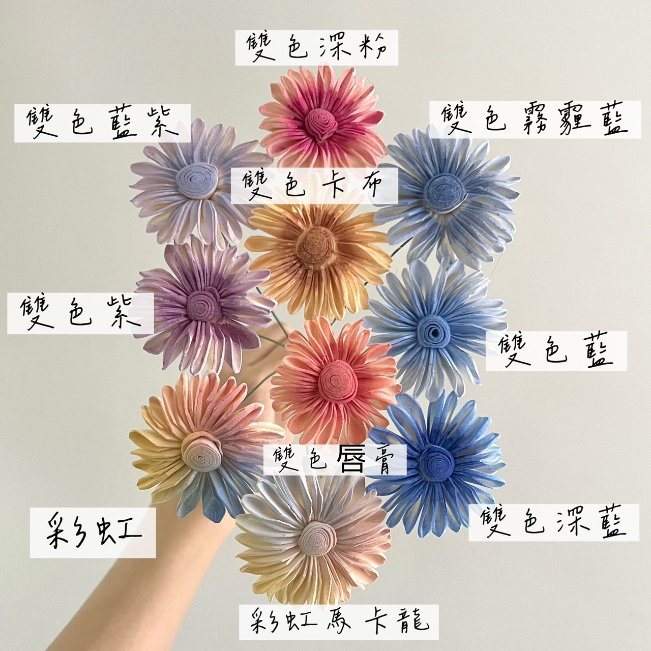 越南索拉花 雨傘太陽花 4CM<十支一把>