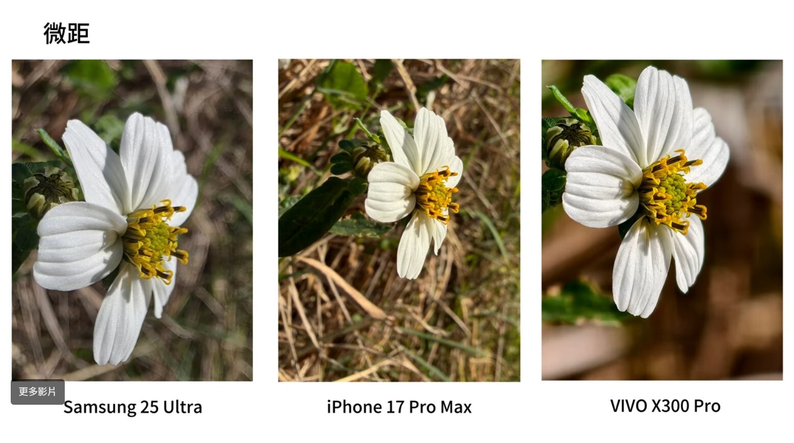 2026最強拍照手機