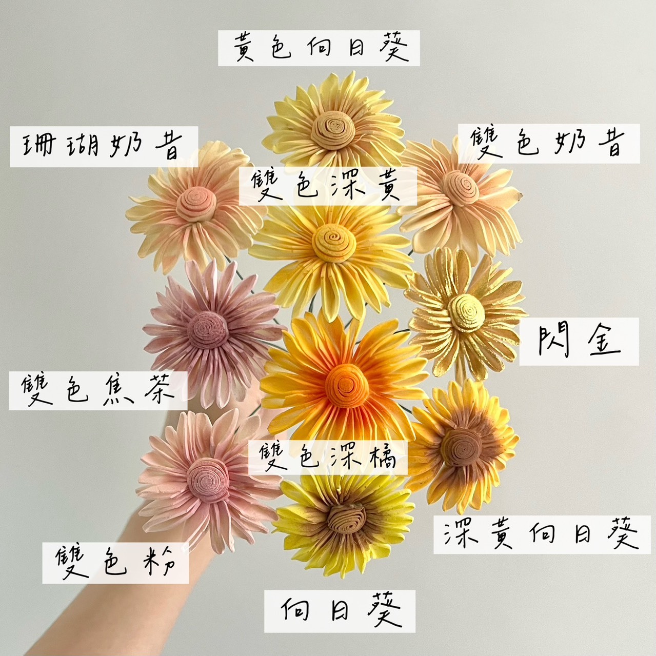 越南索拉花 雨傘太陽花 6CM<十支一把>