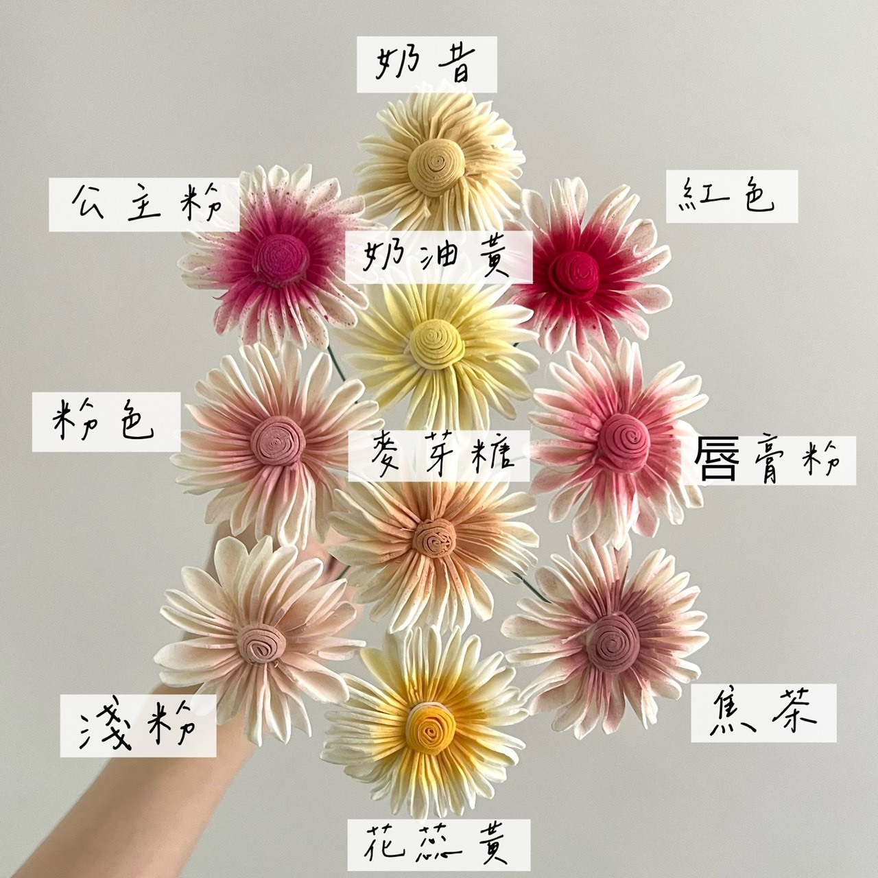 越南索拉花 雨傘太陽花 3CM<十支一把>