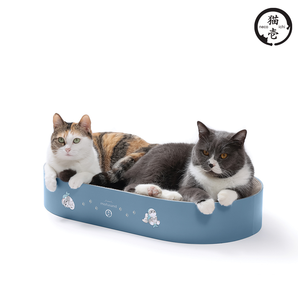 現貨 貓壹 抓抓盆 XL Oval mofusand限定款