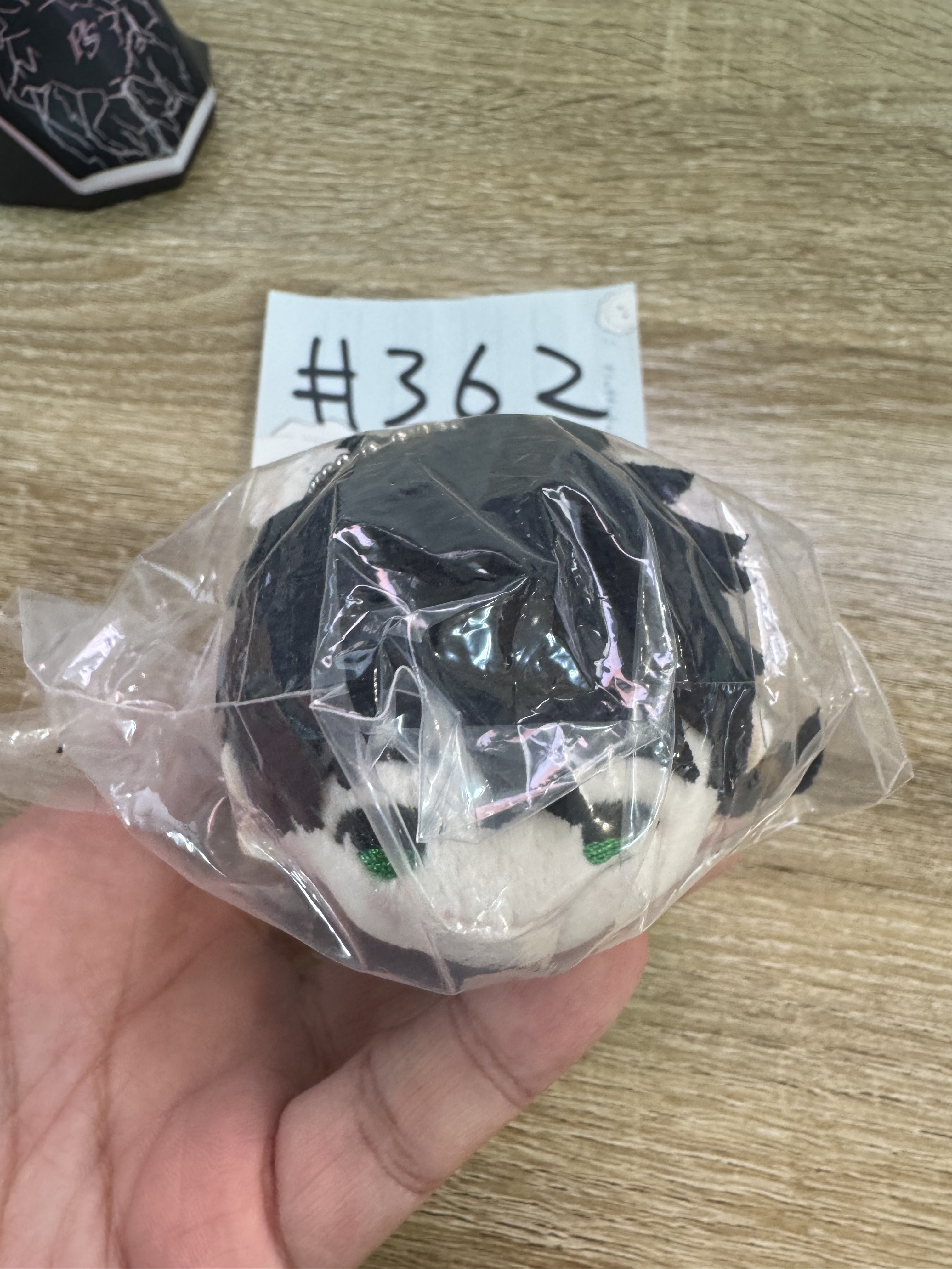 WIND BREAKER  十龜  公仔#362