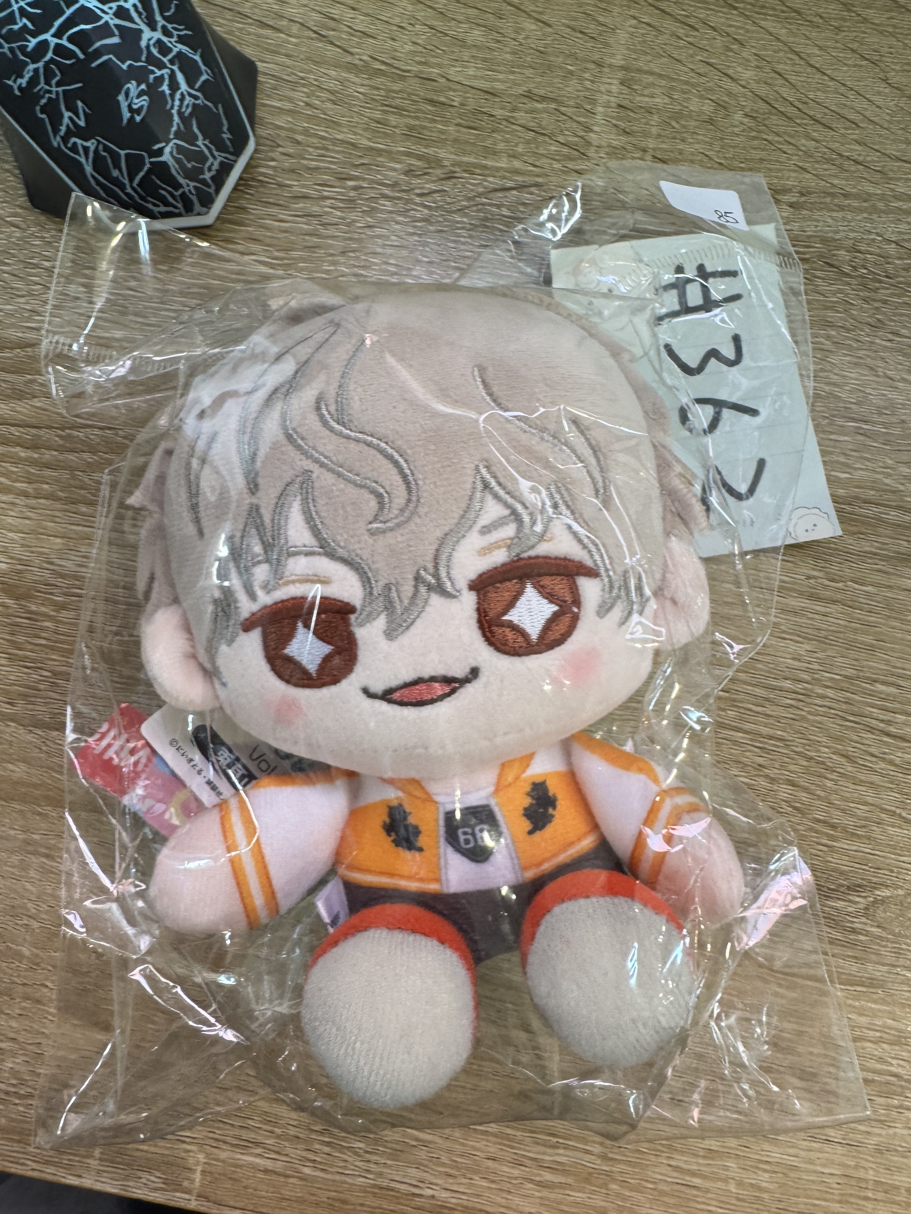 WIND BREAKER 兔耳山 公仔#362