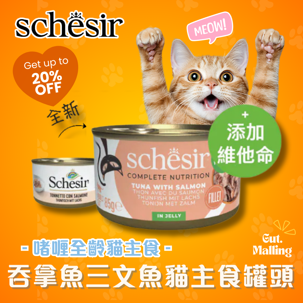 Schesir - 吞拿魚三文魚貓主食罐頭85g|最平$13.5/罐