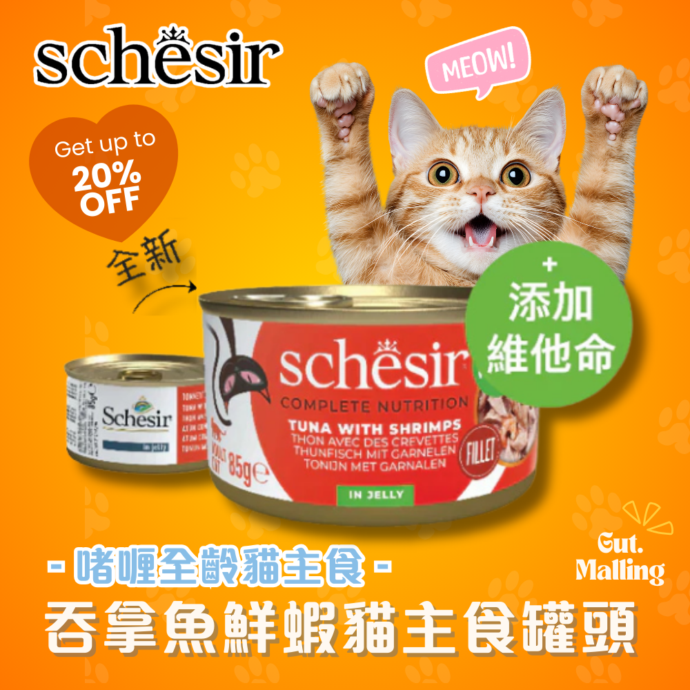 Schesir - 吞拿魚鮮蝦貓主食罐頭85g|最平$13.5/罐